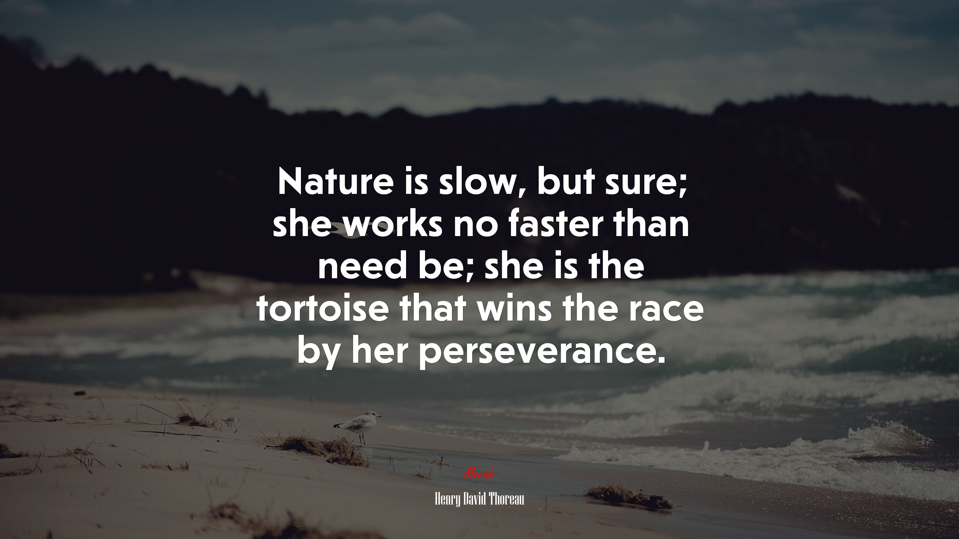 Nature is slow, but sure; she works no faster than need be; she is the tortoise that wins the race by her perseverance. | Henry David Thoreau quote HD Wallpaper