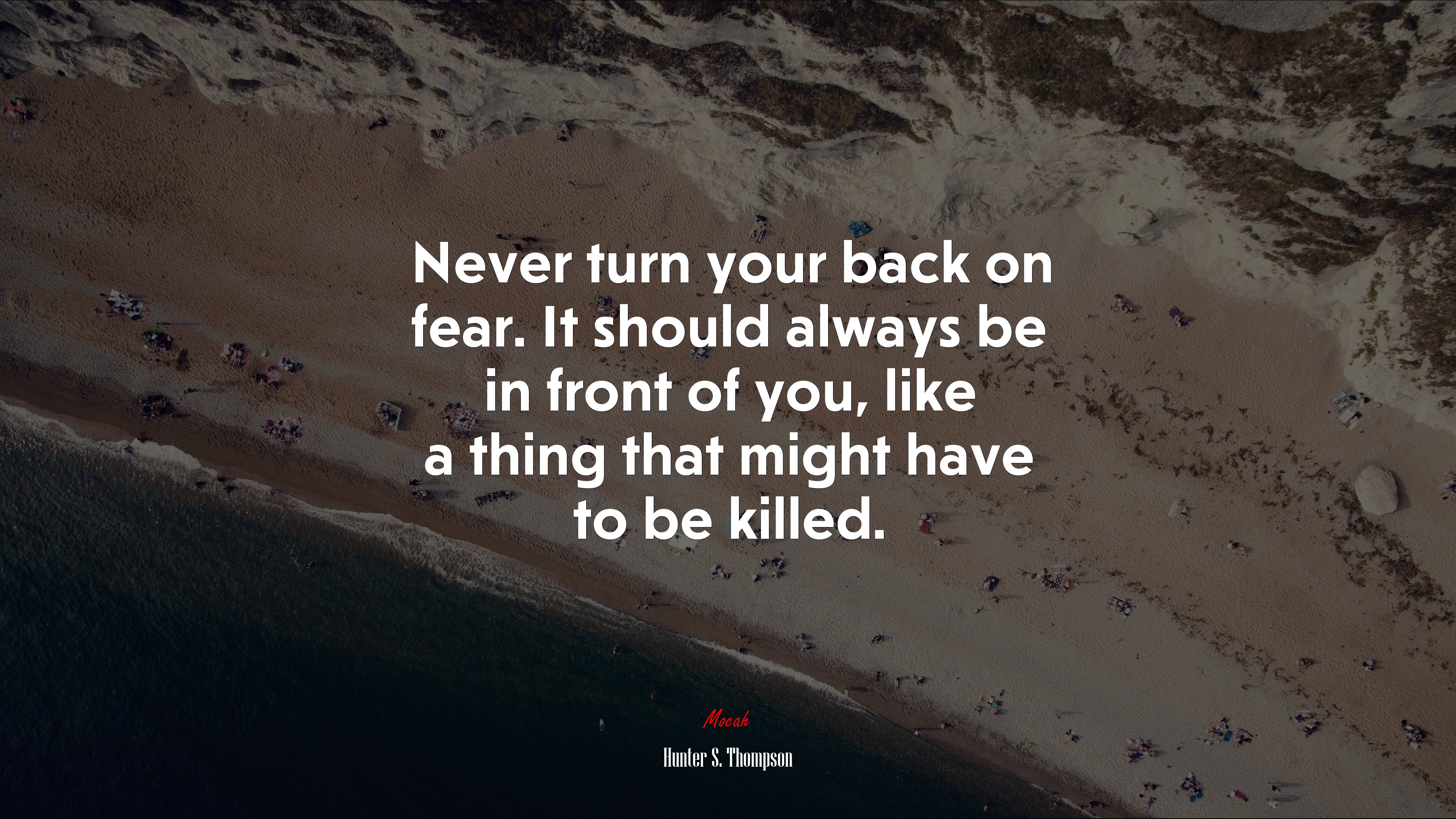 Never turn your back on fear. It should always be in front of you, like a thing that might have to be killed. | Hunter S. Thompson quote HD Wallpaper