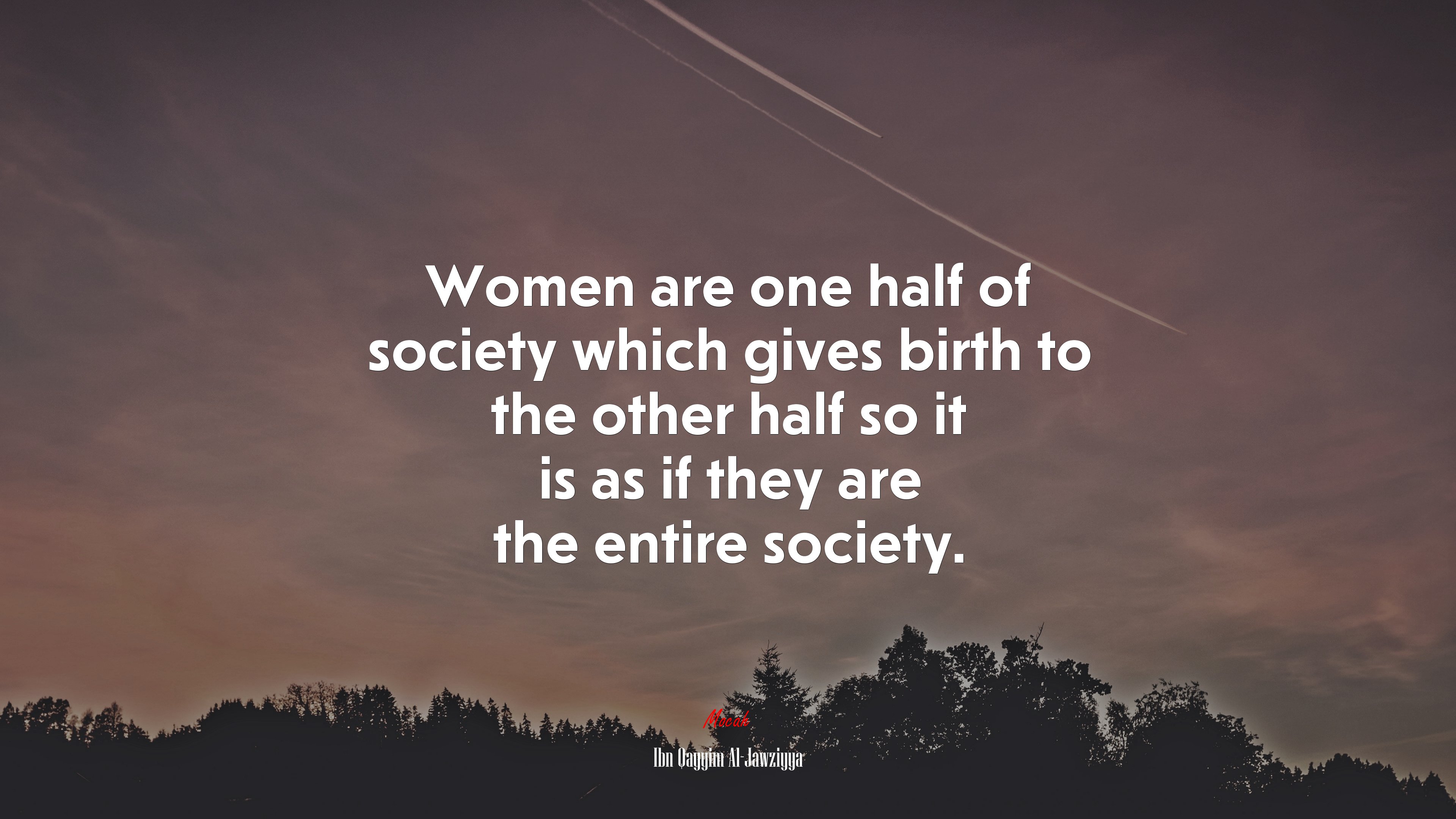 Women are one half of society which gives birth to the other half so it is as if they are the entire society. | Ibn Qayyim Al-Jawziyya quote HD Wallpaper