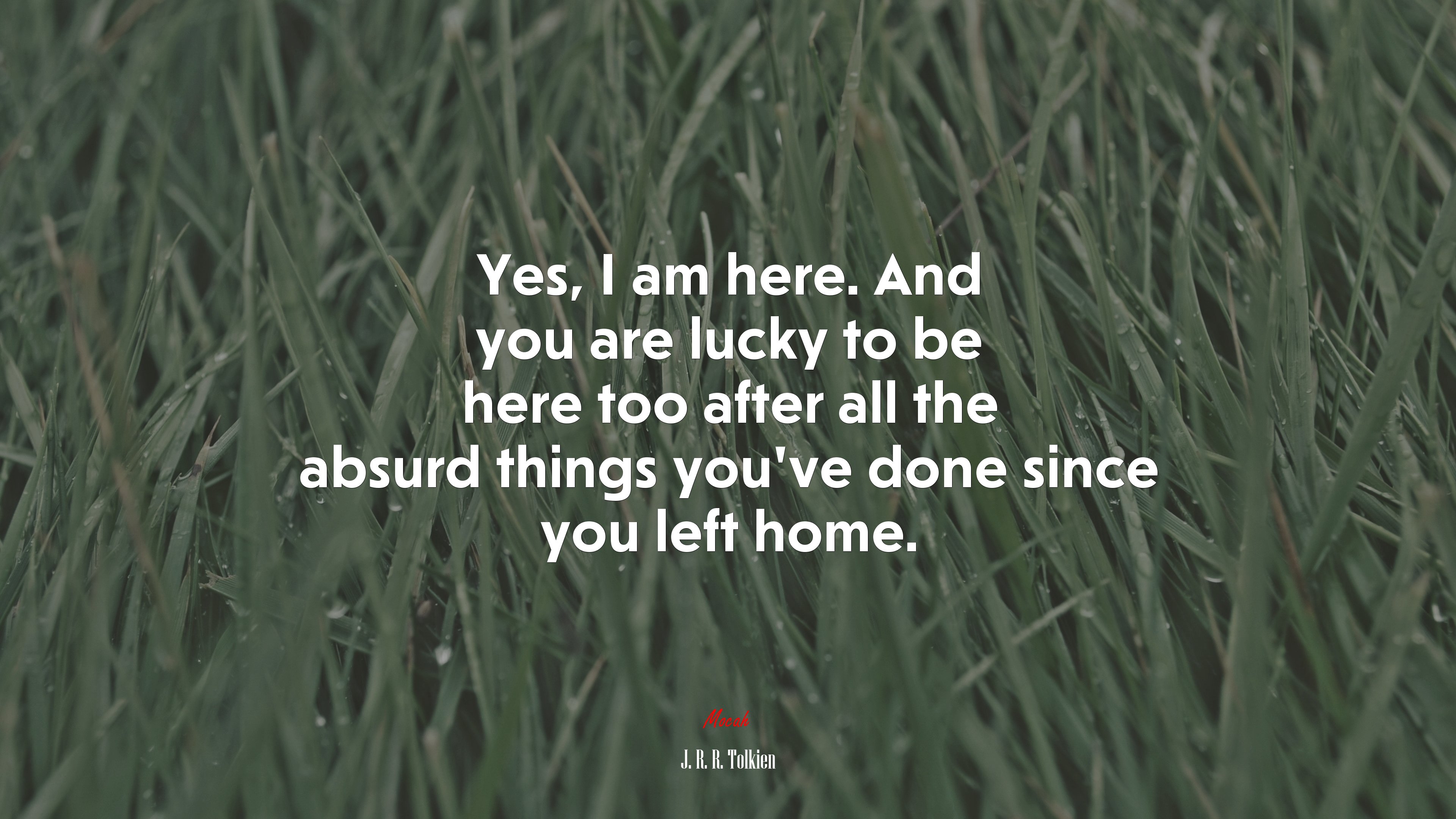 Yes, I am here. And you are lucky to be here too after all the absurd things you’ve done since you left home. | J. R. R. Tolkien quote HD Wallpaper