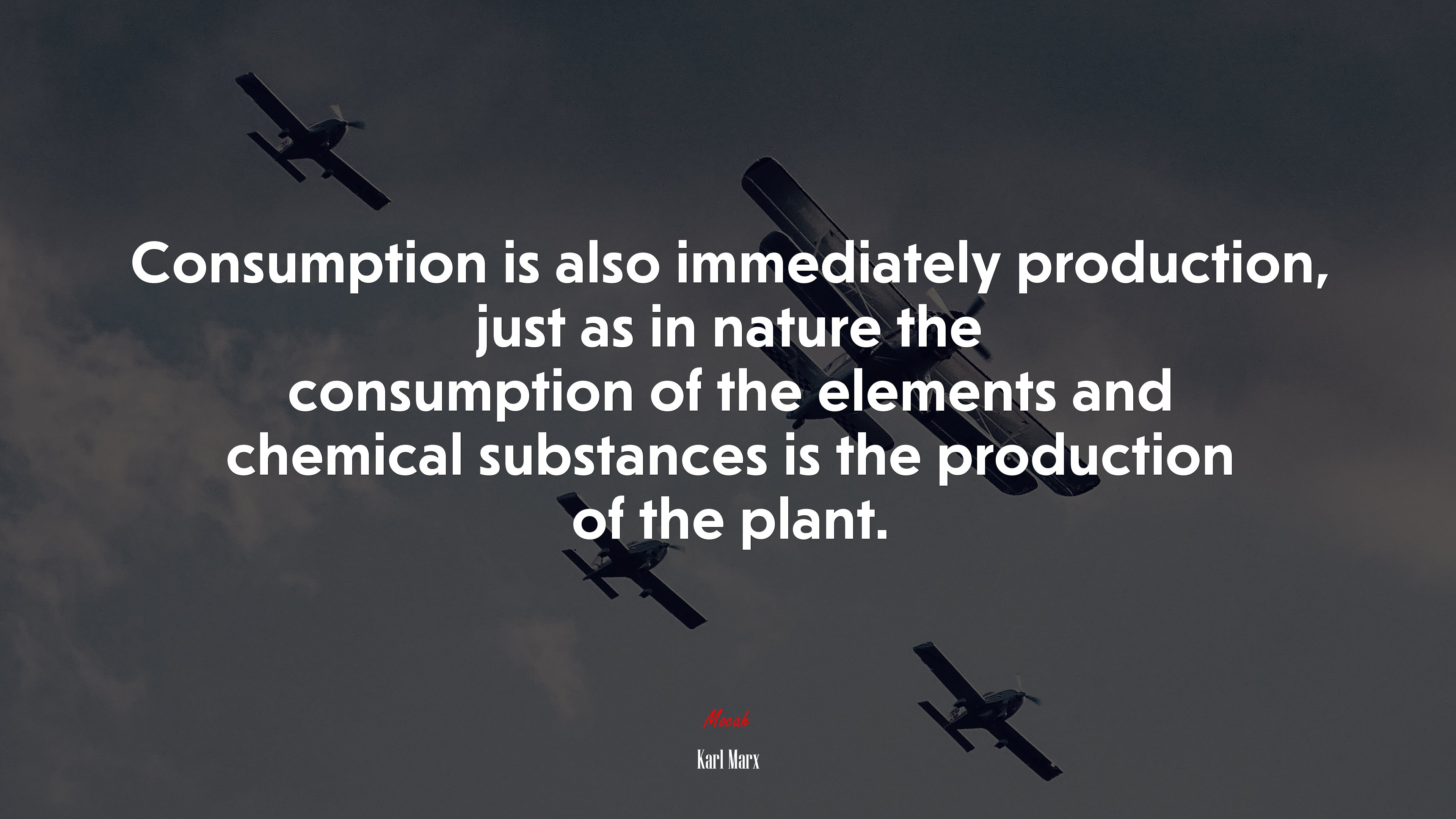 Consumption is also immediately production, just as in nature the consumption of the elements and chemical substances is the production of the plant. | Karl Marx quote HD Wallpaper