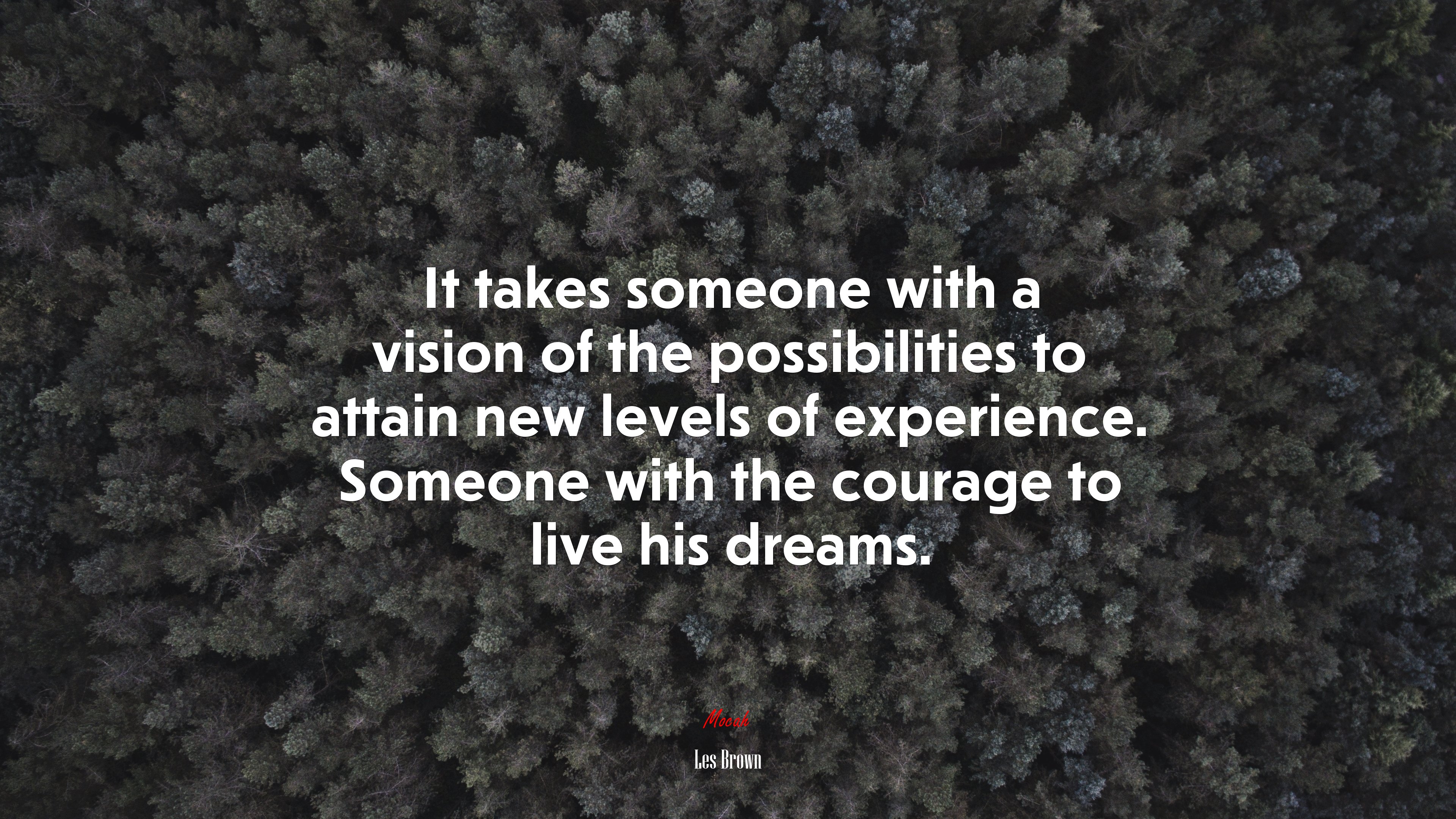 It takes someone with a vision of the possibilities to attain new levels of experience. Someone with the courage to live his dreams. | Les Brown quote HD Wallpaper