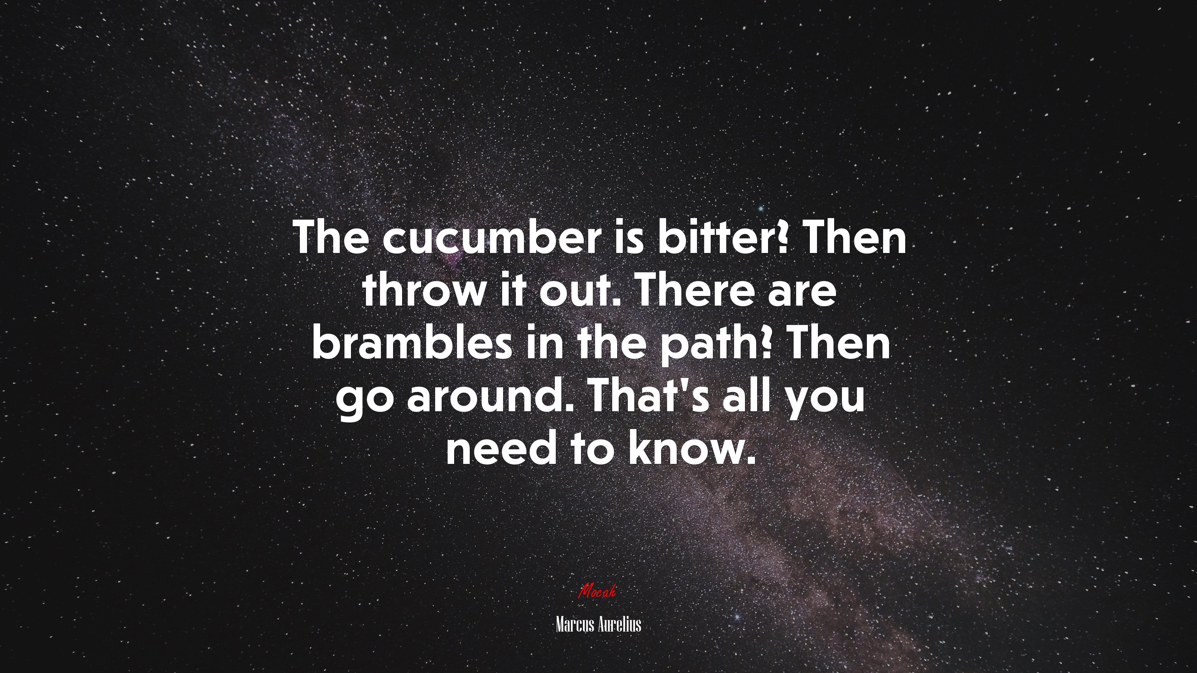 The cucumber is bitter? Then throw it out. There are brambles in the path? Then go around. That’s all you need to know. | Marcus Aurelius quote HD Wallpaper