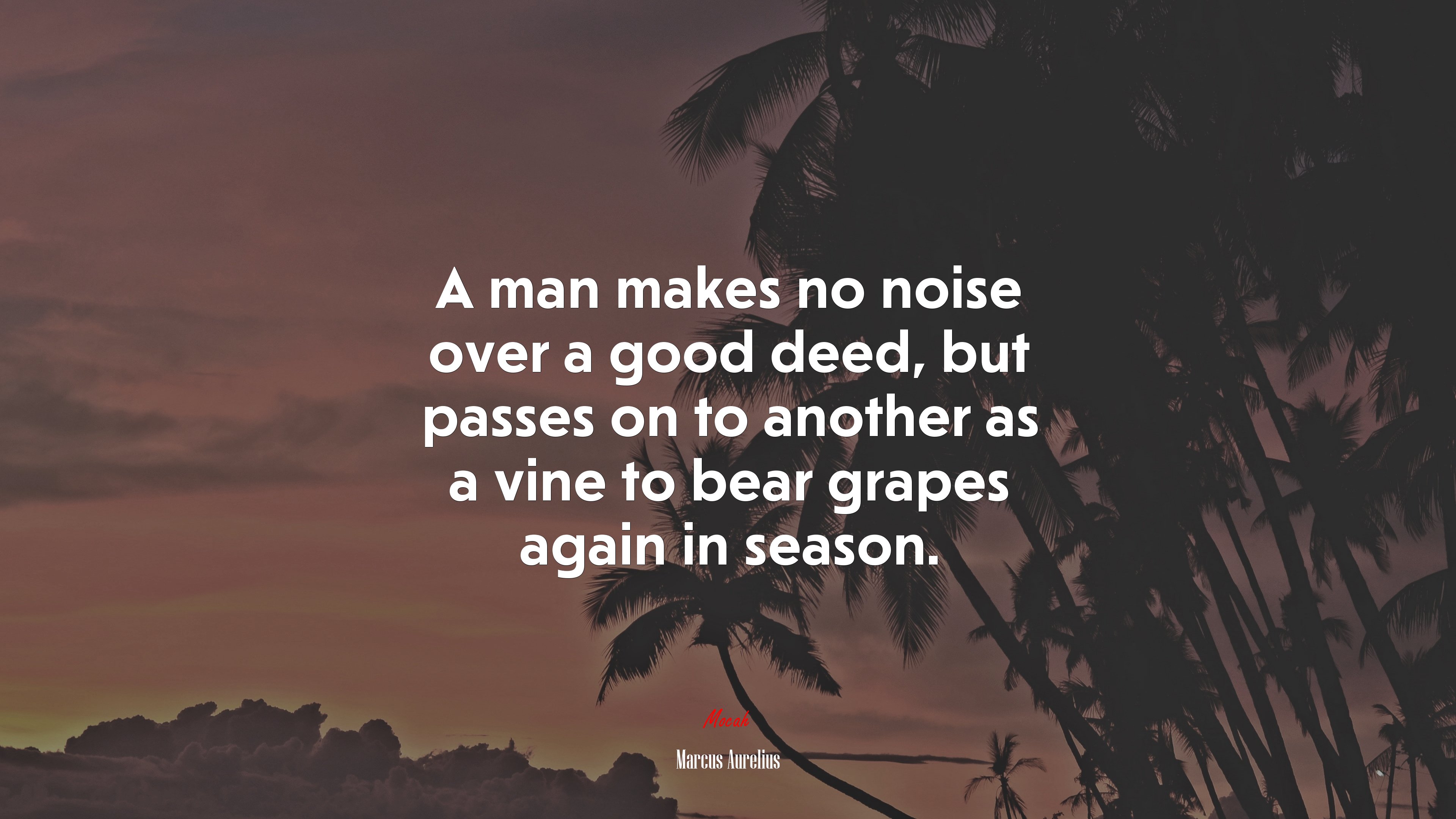 A man makes no noise over a good deed, but passes on to another as a vine to bear grapes again in season. | Marcus Aurelius quote HD Wallpaper