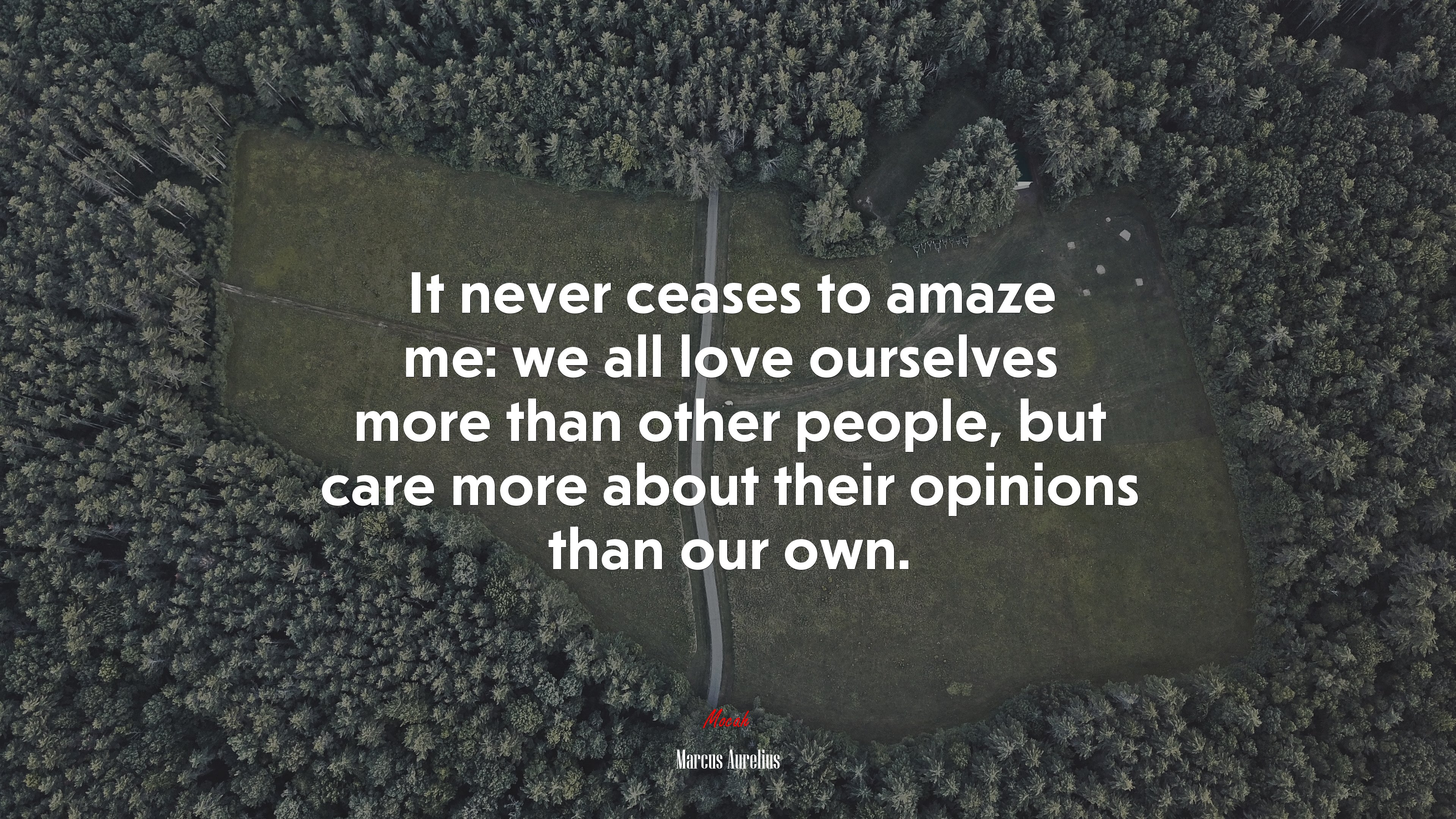 It never ceases to amaze me: we all love ourselves more than other people, but care more about their opinions than our own. | Marcus Aurelius quote HD Wallpaper