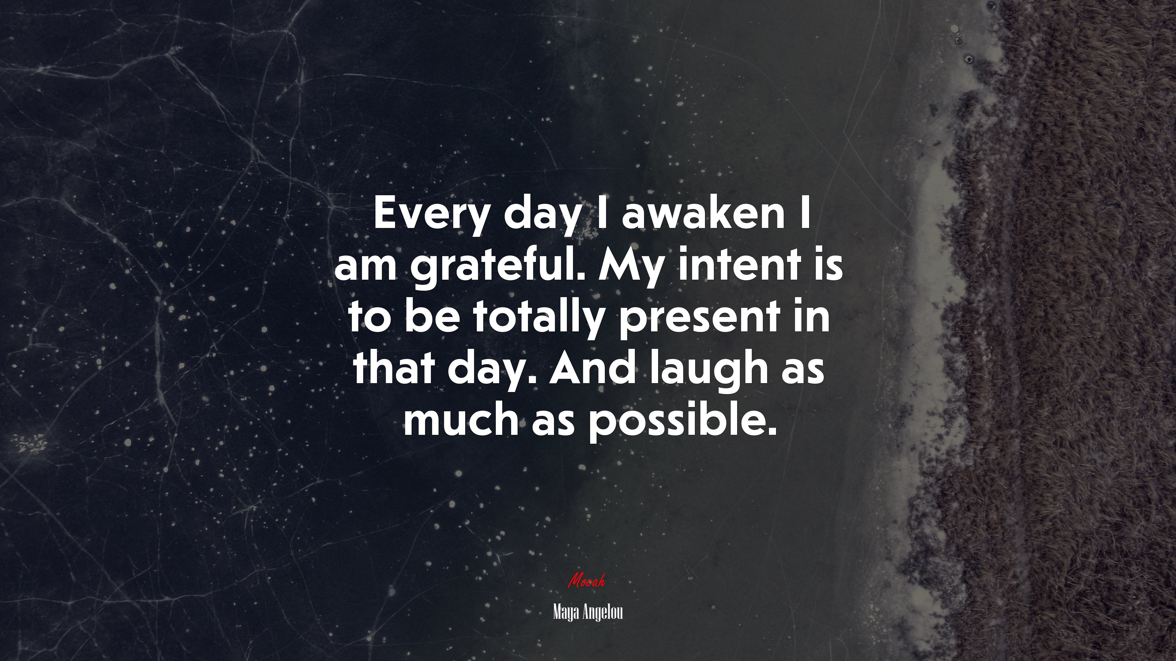 Every day I awaken I am grateful. My intent is to be totally present in that day. And laugh as much as possible. | Maya Angelou quote HD Wallpaper