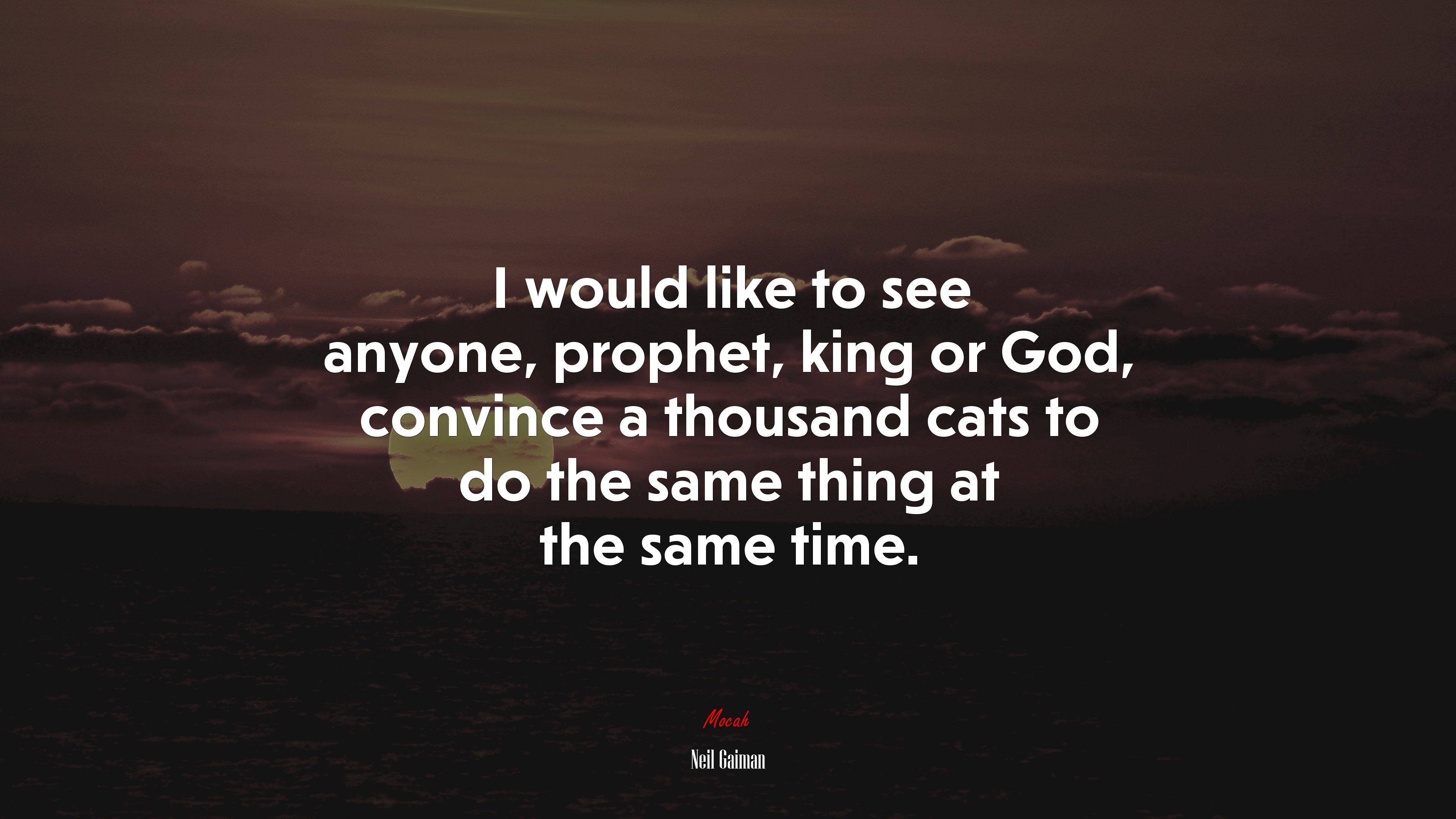I would like to see anyone, prophet, king or God, convince a thousand cats to do the same thing at the same time. | Neil Gaiman quote HD Wallpaper