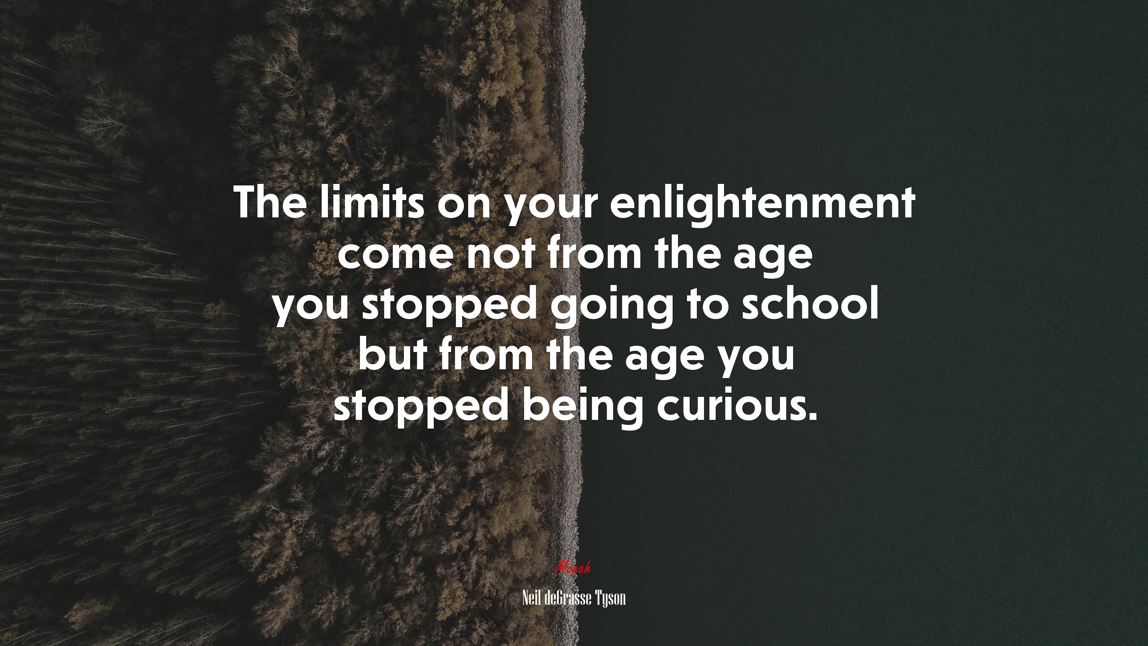 The limits on your enlightenment come not from the age you stopped going to school but from the age you stopped being curious. | Neil deGrasse Tyson quote HD Wallpaper