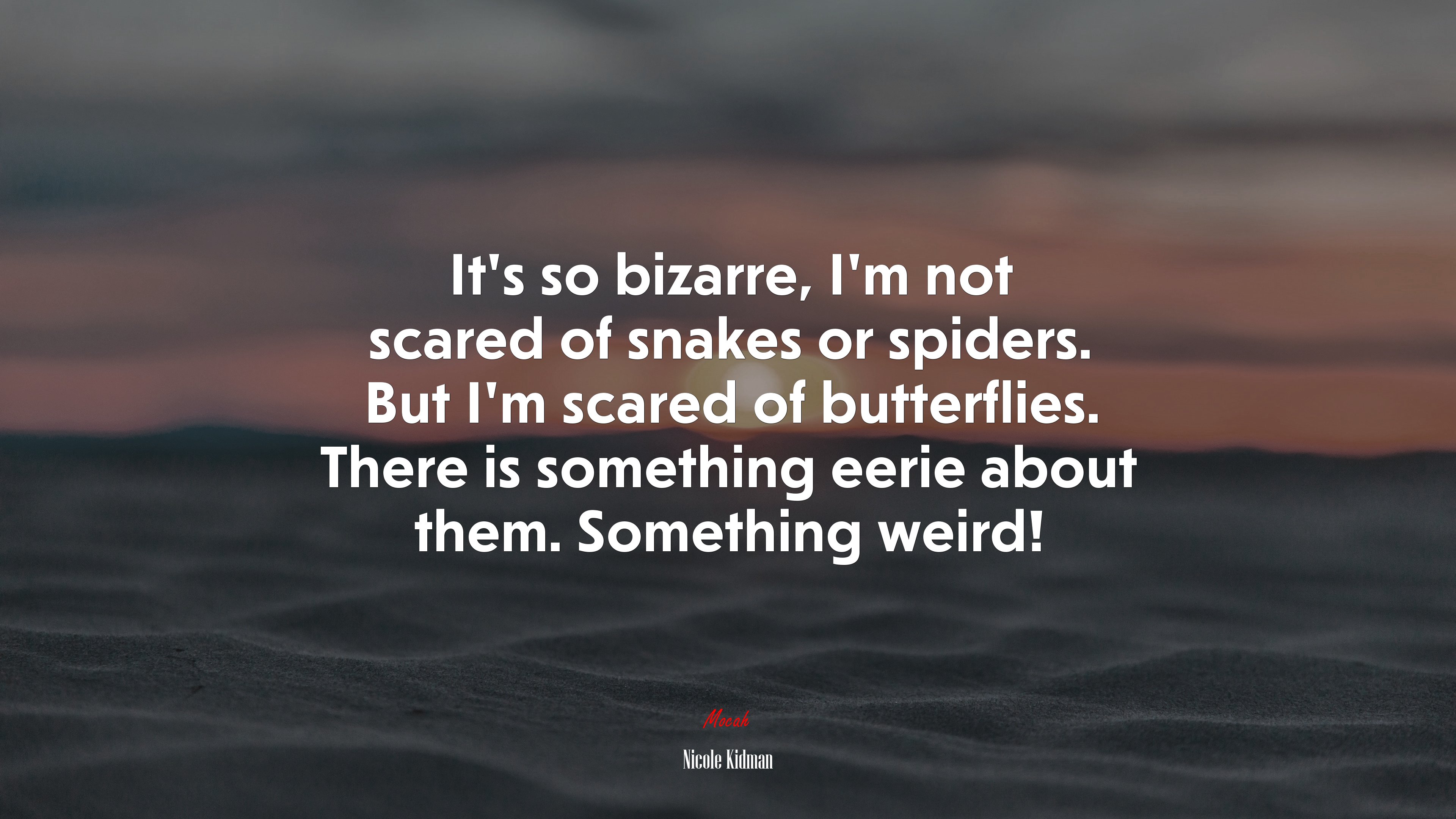 It’s so bizarre, I’m not scared of snakes or spiders. But I’m scared of butterflies. There is something eerie about them. Something weird! | Nicole Kidman quote HD Wallpaper