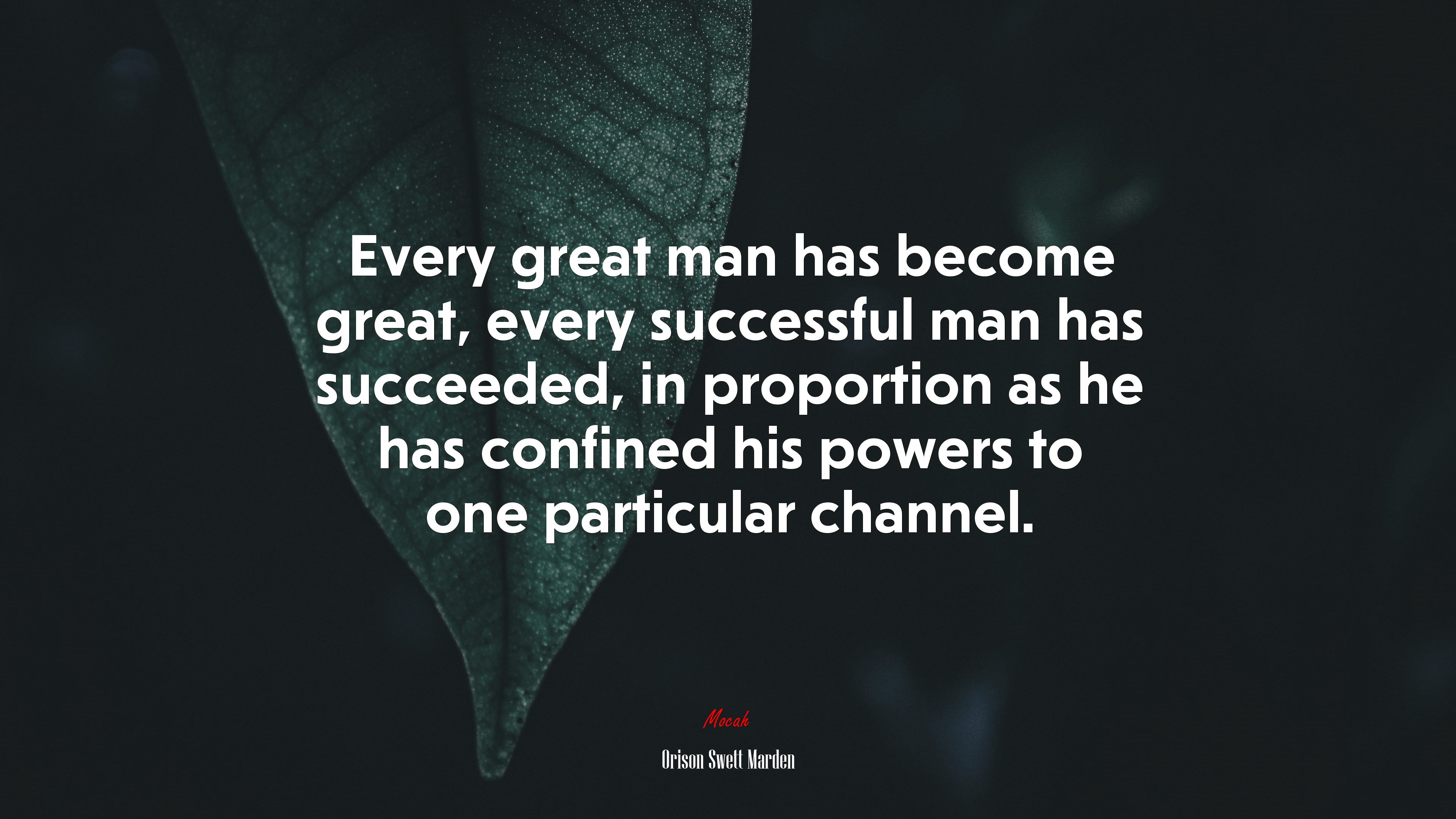 Every great man has become great, every successful man has succeeded, in proportion as he has confined his powers to one particular channel. | Orison Swett Marden quote HD Wallpaper