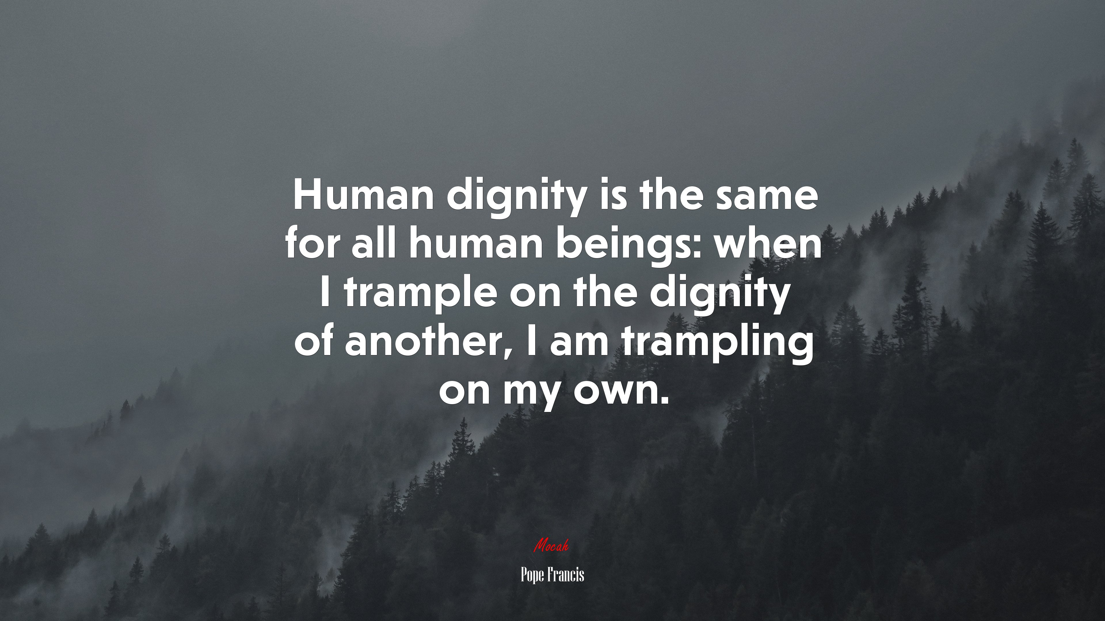 Human dignity is the same for all human beings: when I trample on the dignity of another, I am trampling on my own. | Pope Francis quote HD Wallpaper