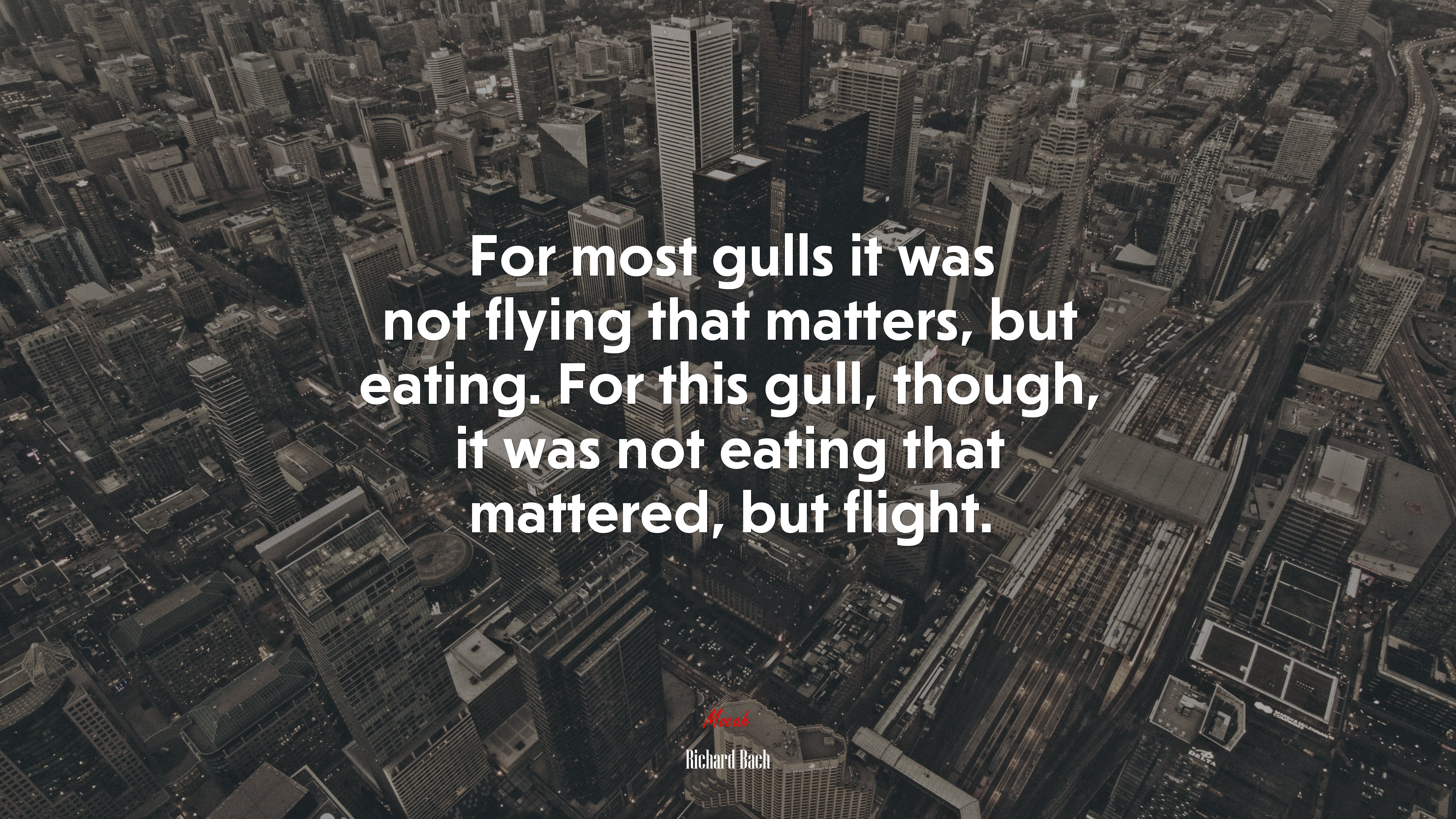 For most gulls it was not flying that matters, but eating. For this gull, though, it was not eating that mattered, but flight. | Richard Bach quote HD Wallpaper