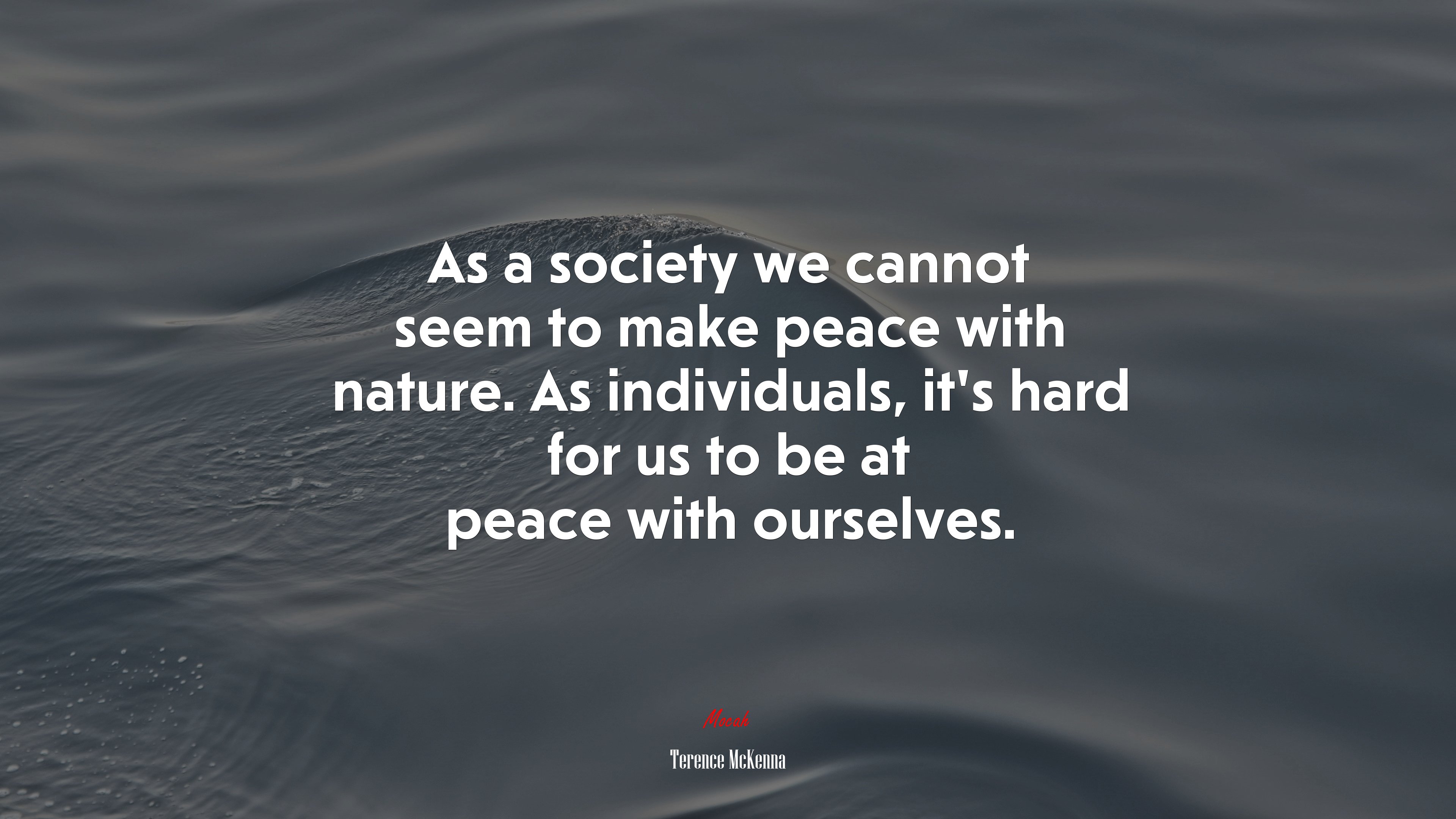 As a society we cannot seem to make peace with nature. As individuals, it’s hard for us to be at peace with ourselves. | Terence McKenna quote HD Wallpaper