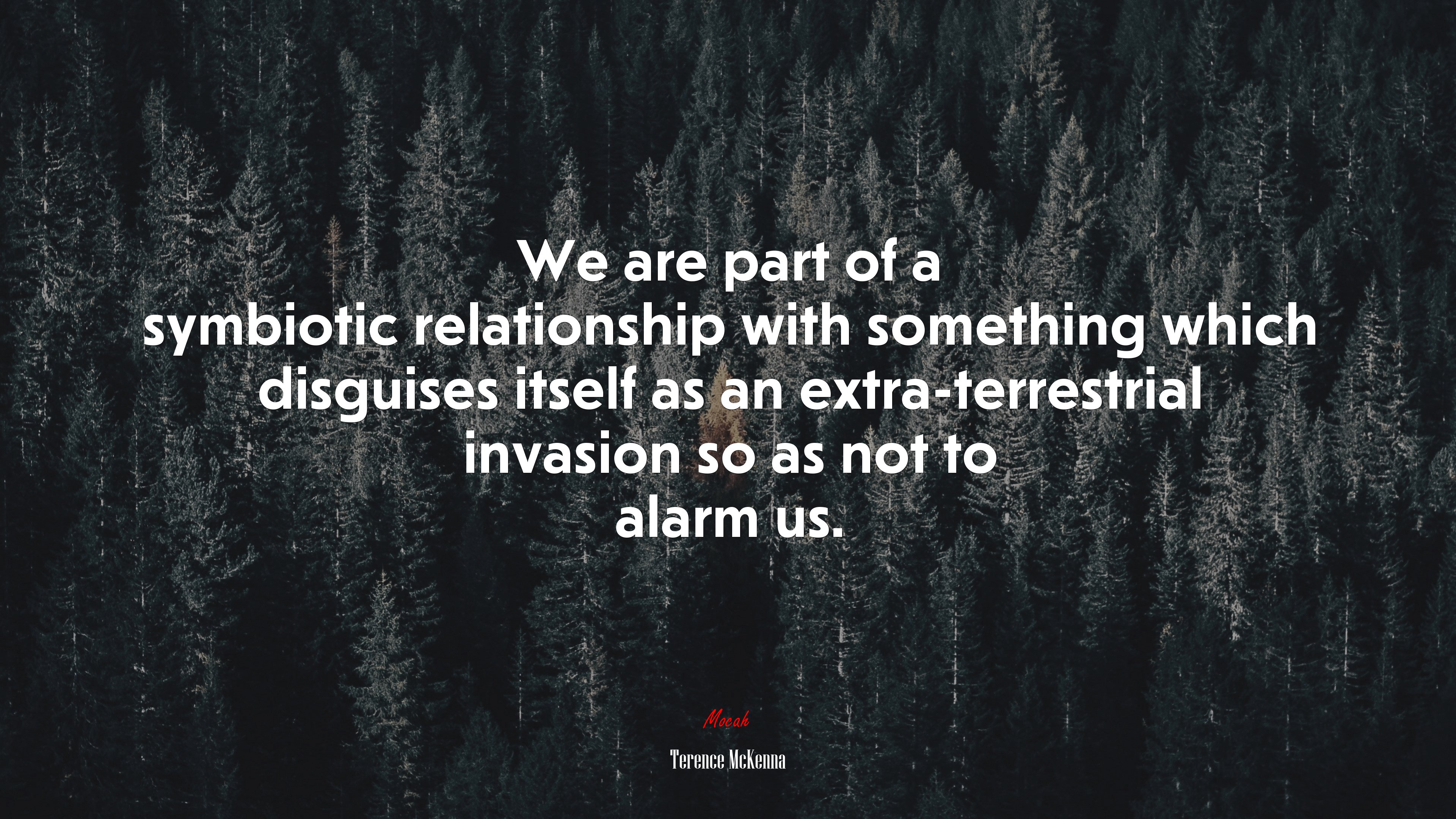 We are part of a symbiotic relationship with something which disguises itself as an extra-terrestrial invasion so as not to alarm us. | Terence McKenna quote HD Wallpaper