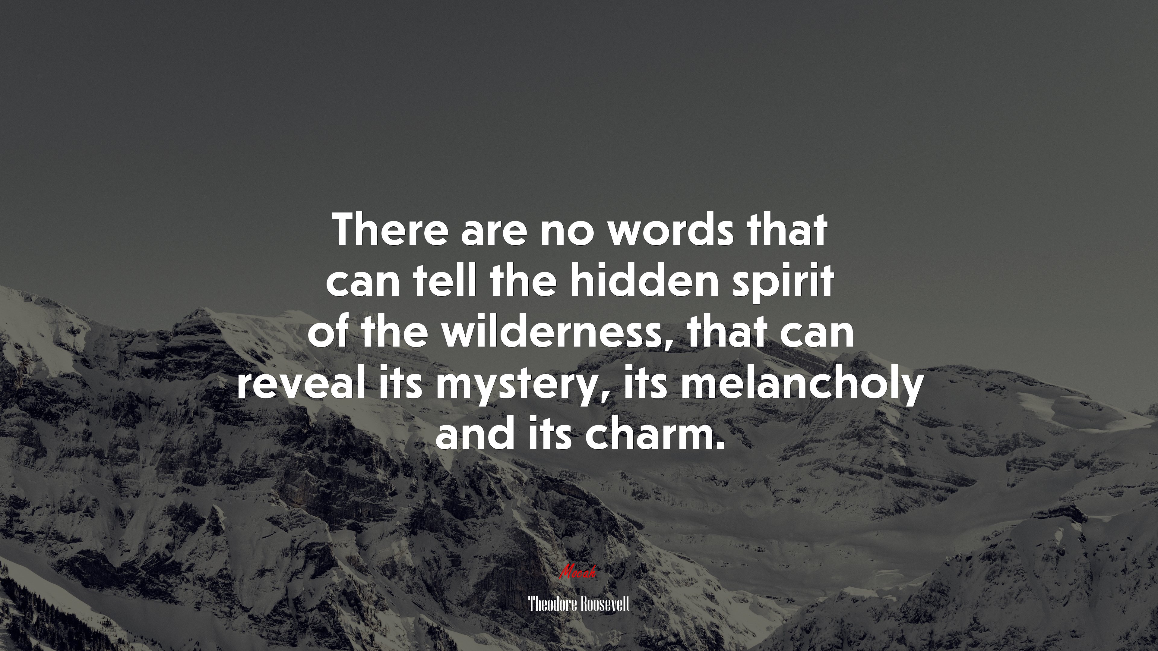 There are no words that can tell the hidden spirit of the wilderness, that can reveal its mystery, its melancholy and its charm. | Theodore Roosevelt quote HD Wallpaper