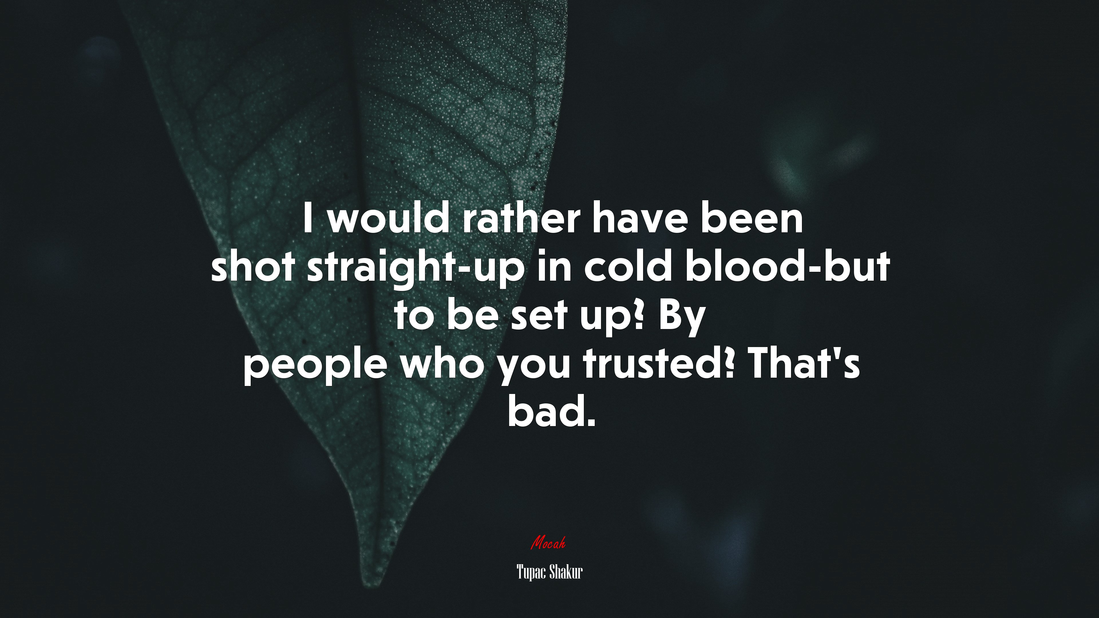 I would rather have been shot straight-up in cold blood-but to be set up? By people who you trusted? That’s bad. | Tupac Shakur quote HD Wallpaper