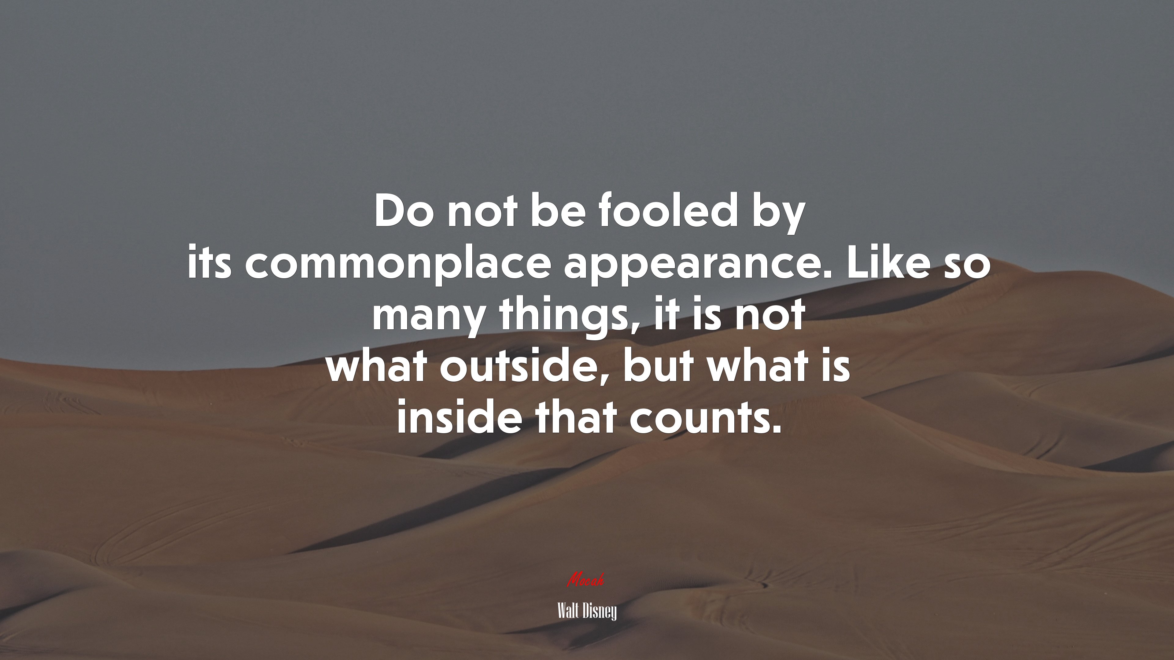 Do not be fooled by its commonplace appearance. Like so many things, it is not what outside, but what is inside that counts. | Walt Disney quote HD Wallpaper