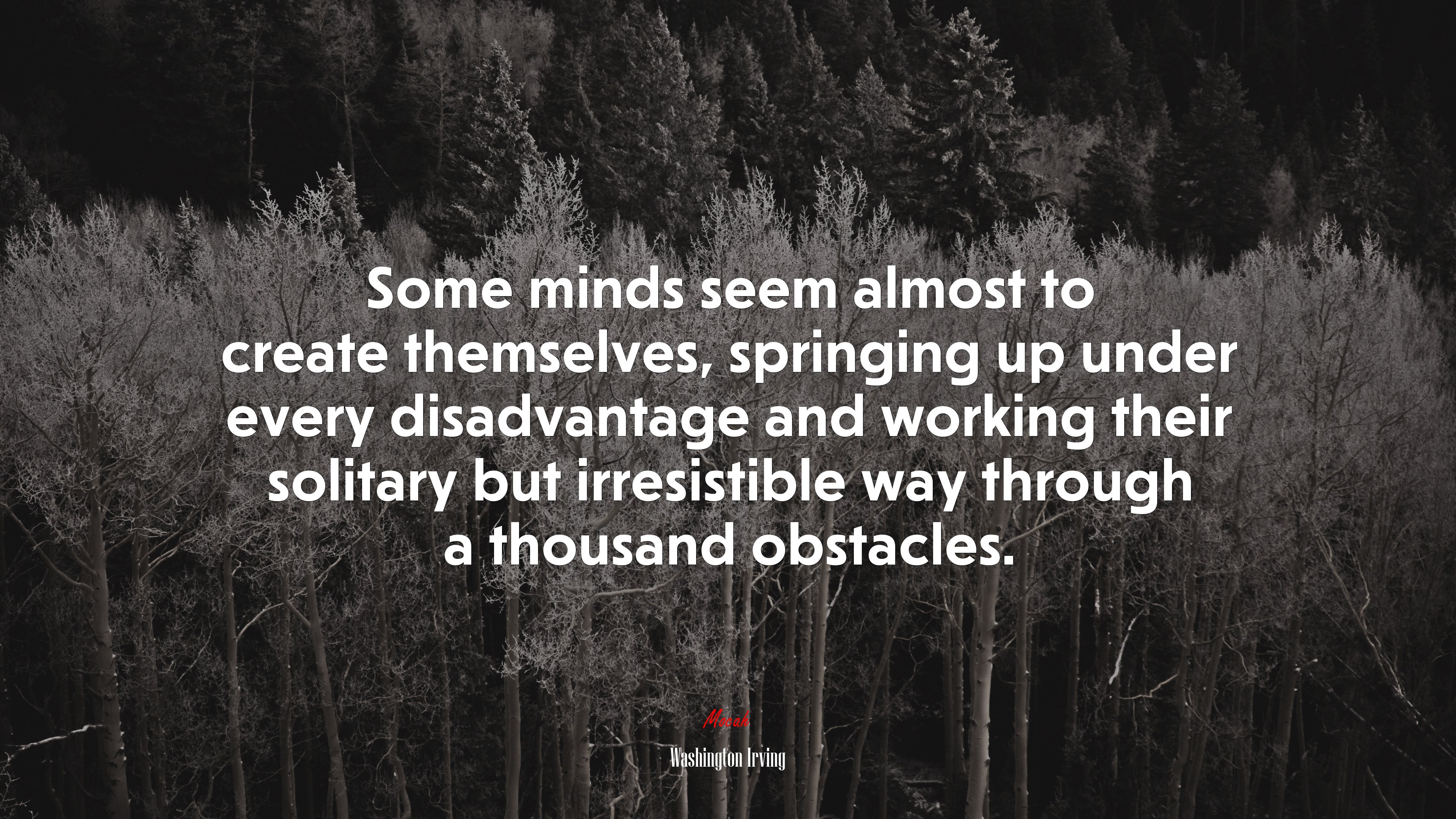 Some minds seem almost to create themselves, springing up under every disadvantage and working their solitary but irresistible way through a thousand obstacles. | Washington Irving quote HD Wallpaper