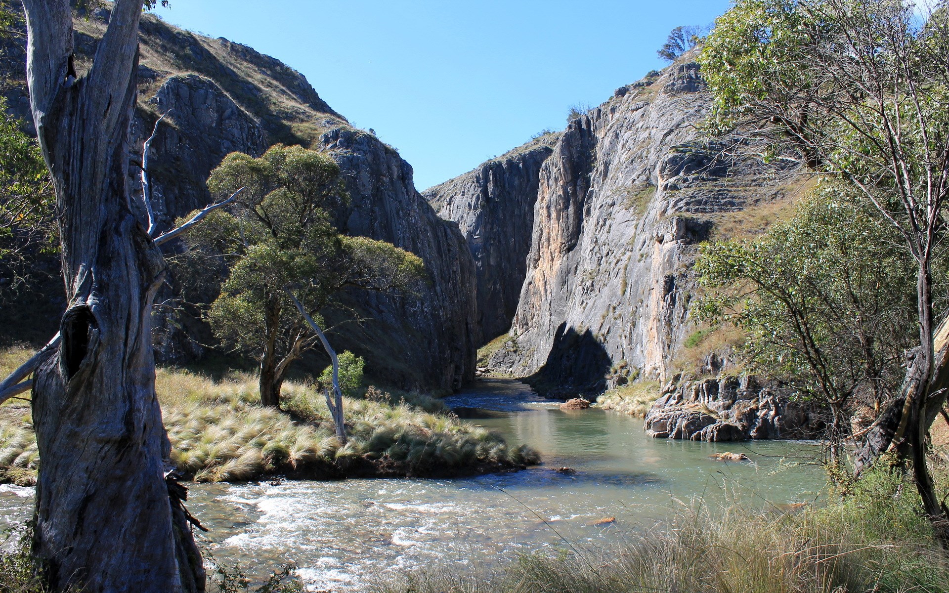 River flowing through a rocky canyon with trees HD Wallpaper