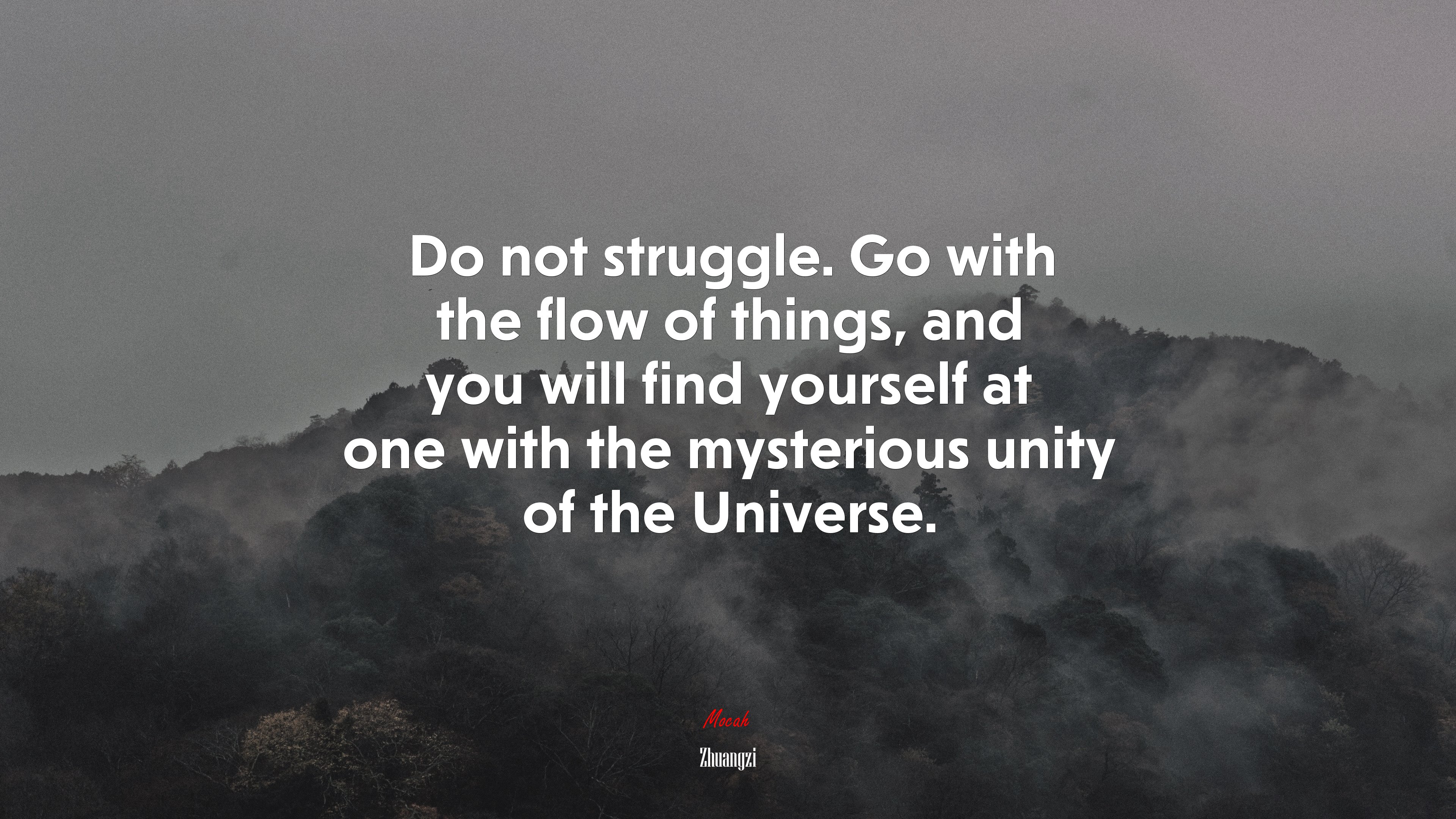 Do not struggle. Go with the flow of things, and you will find yourself at one with the mysterious unity of the Universe. | Zhuangzi quote HD Wallpaper