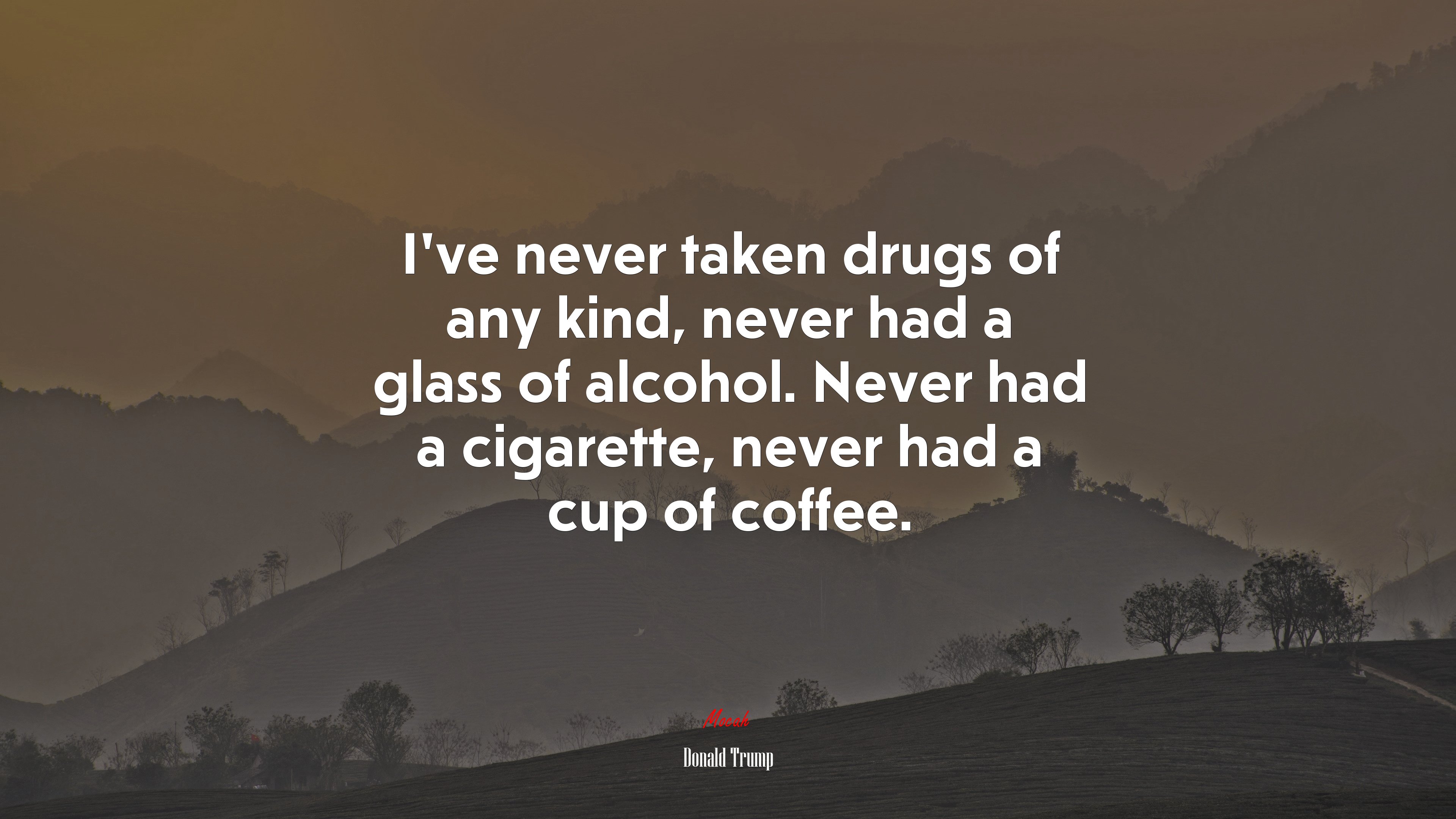 I’ve never taken drugs of any kind, never had a glass of alcohol. Never had a cigarette, never had a cup of coffee. | Donald Trump quote HD Wallpaper