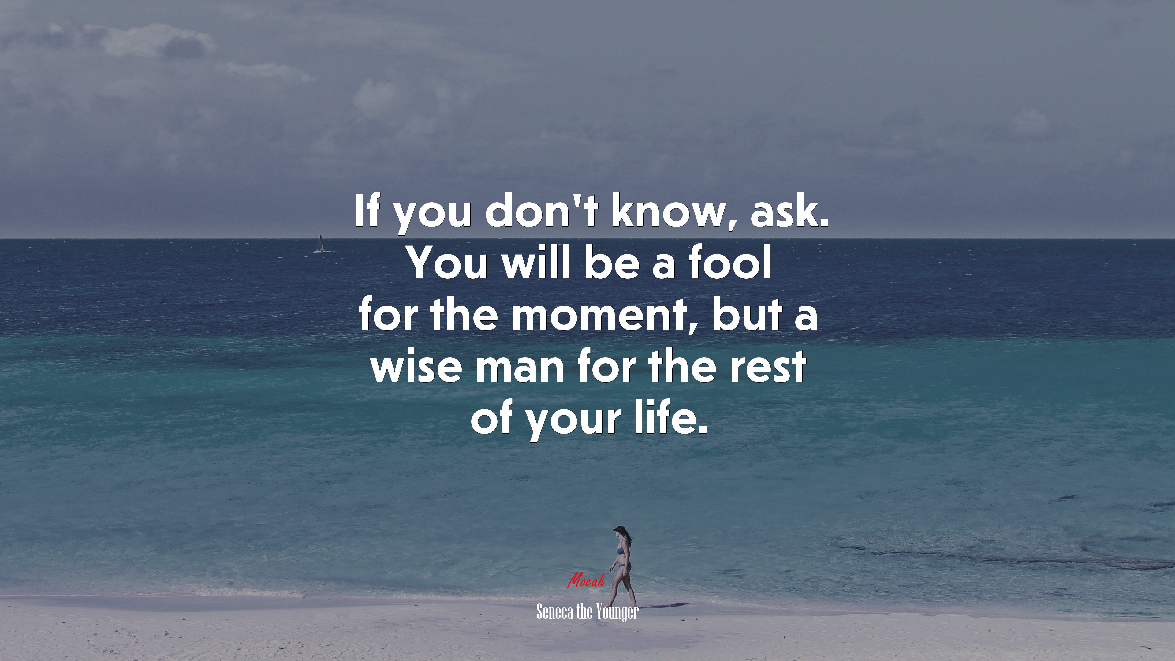If you don’t know, ask. You will be a fool for the moment, but a wise man for the rest of your life. | Seneca the Younger quote HD Wallpaper