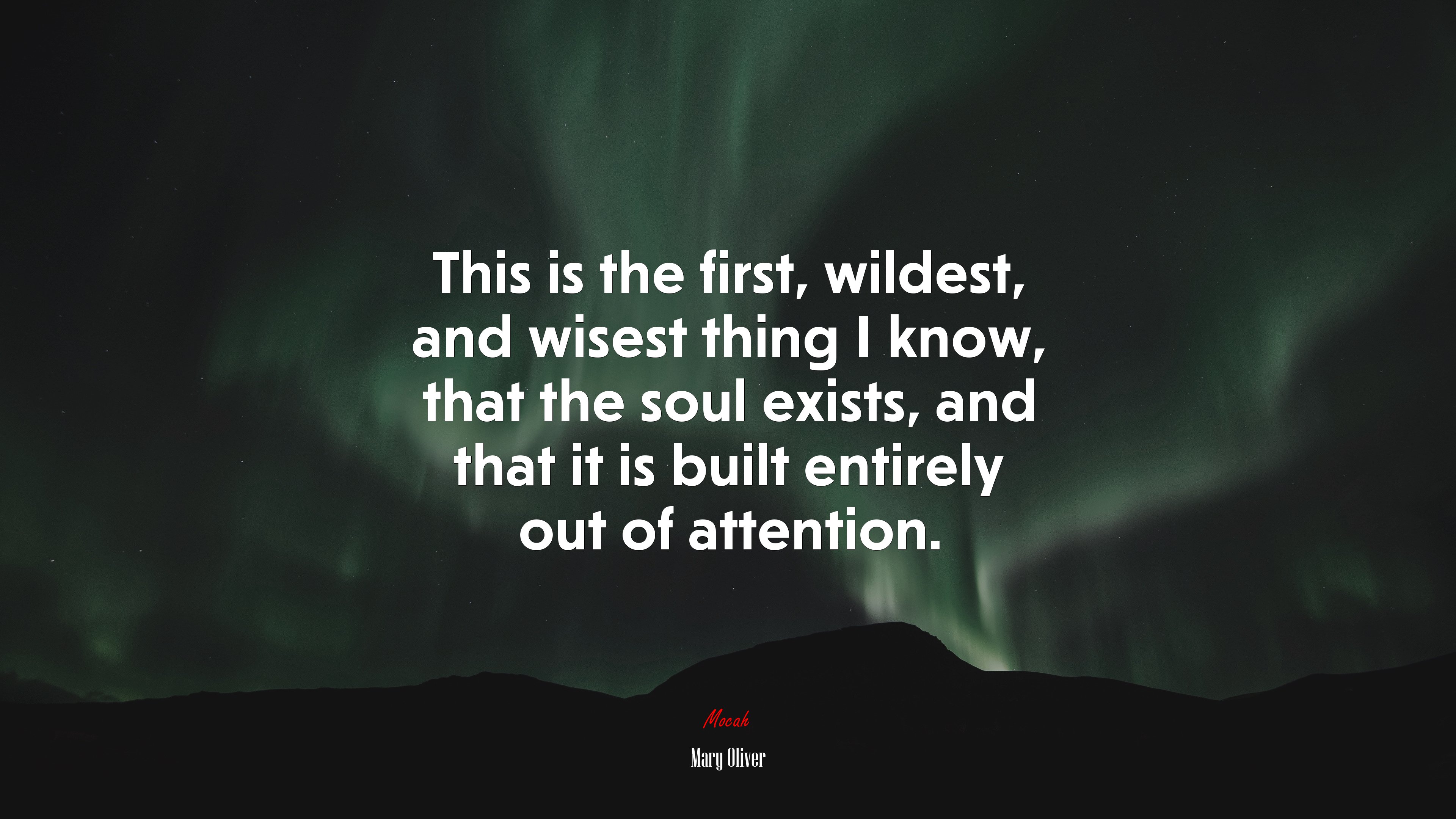 This is the first, wildest, and wisest thing I know, that the soul exists, and that it is built entirely out of attention. | Mary Oliver quote HD Wallpaper
