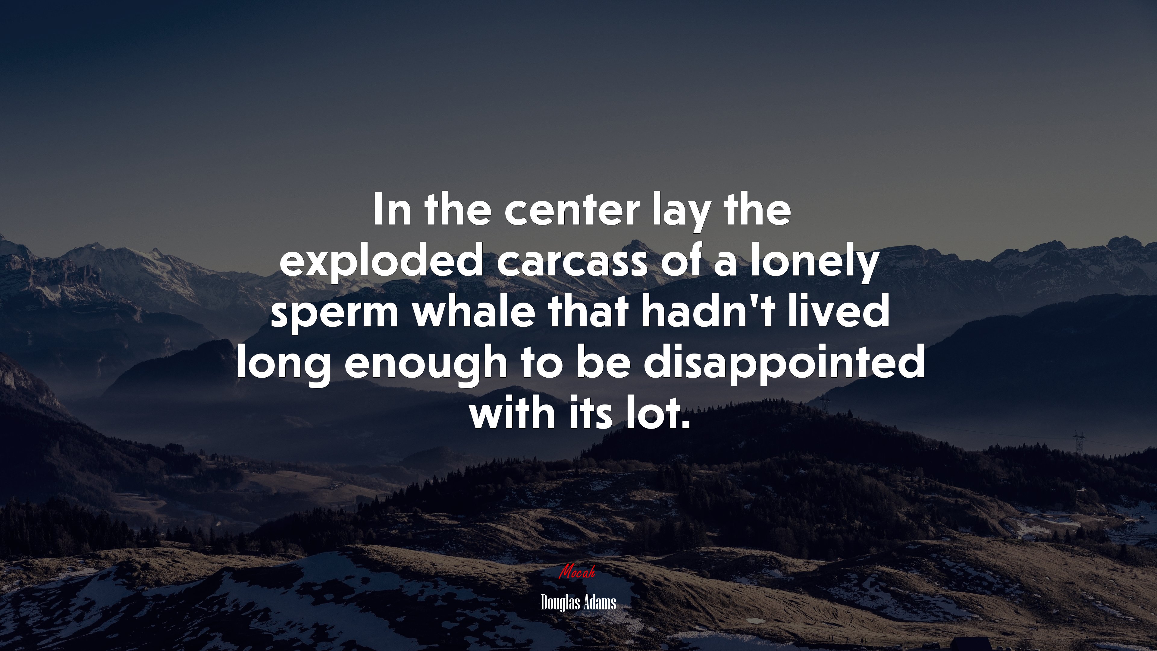 In the center lay the exploded carcass of a lonely sperm whale that hadn’t lived long enough to be disappointed with its lot. | Douglas Adams quote HD Wallpaper