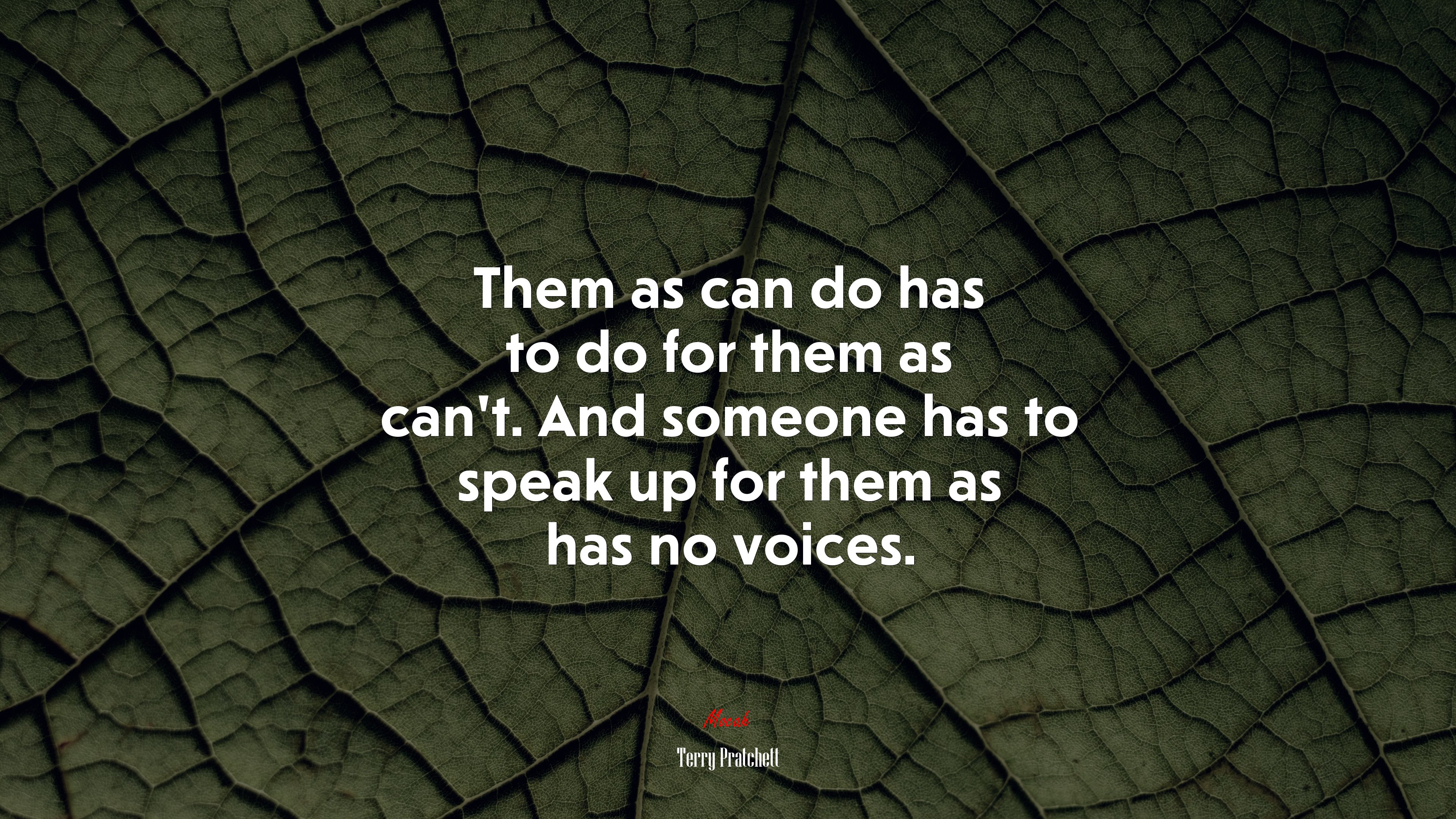 Them as can do has to do for them as can’t. And someone has to speak up for them as has no voices. | Terry Pratchett quote HD Wallpaper