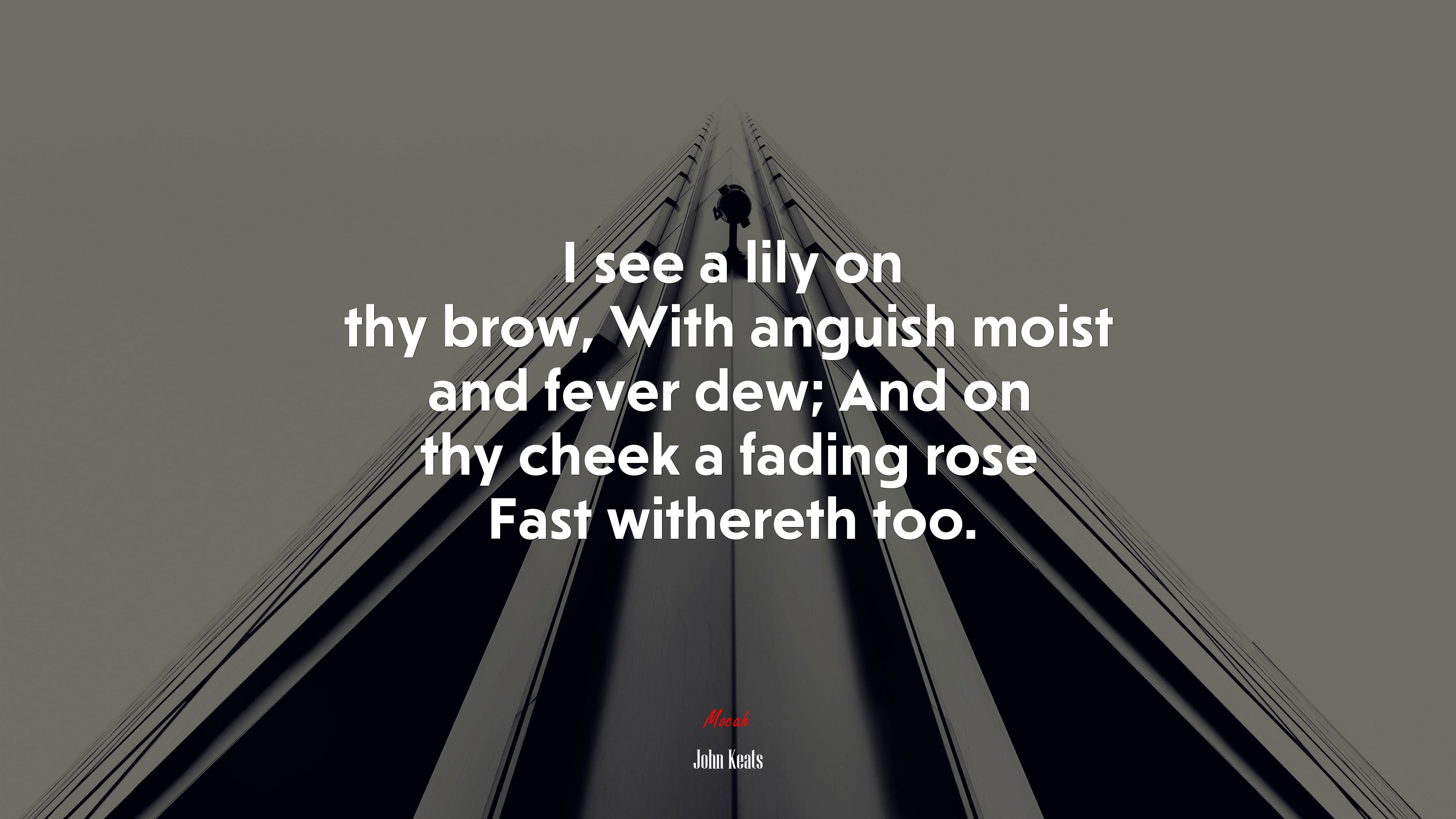 I see a lily on thy brow, With anguish moist and fever dew; And on thy cheek a fading rose Fast withereth too. | John Keats quote HD Wallpaper