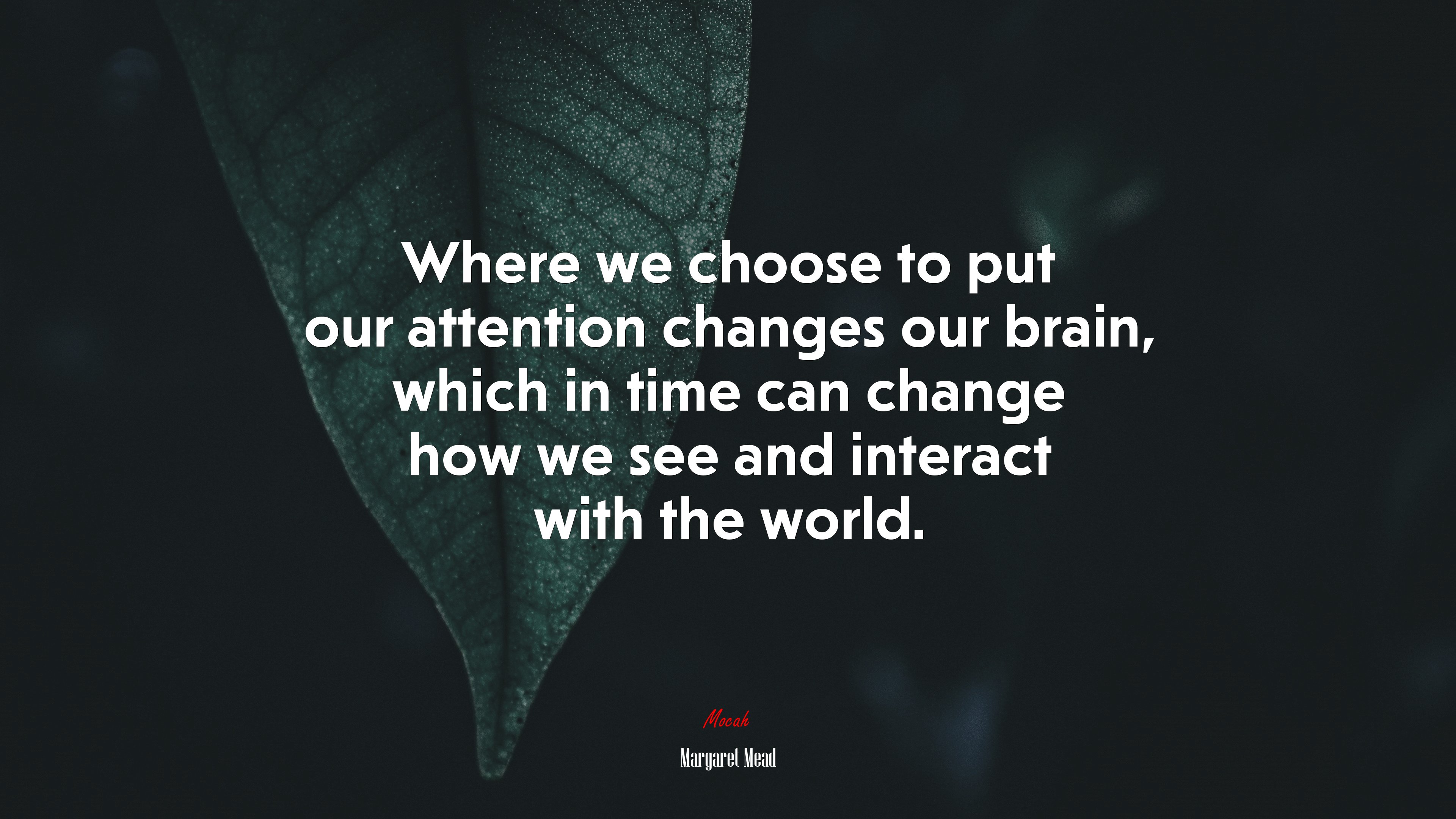 Where we choose to put our attention changes our brain, which in time can change how we see and interact with the world. | Margaret Mead quote HD Wallpaper