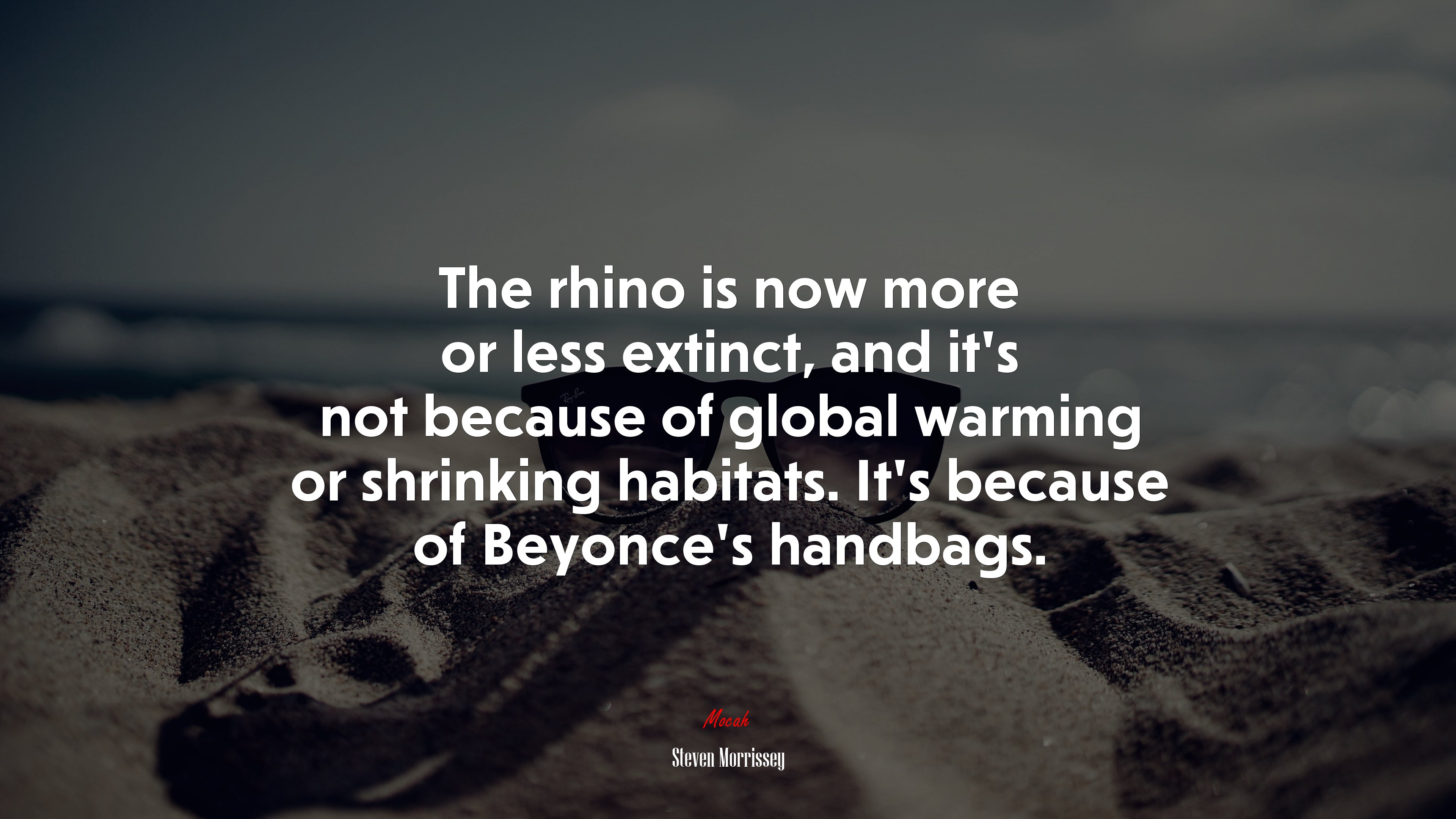 The rhino is now more or less extinct, and it’s not because of global warming or shrinking habitats. It’s because of Beyonce’s handbags. | Steven Morrissey quote HD Wallpaper