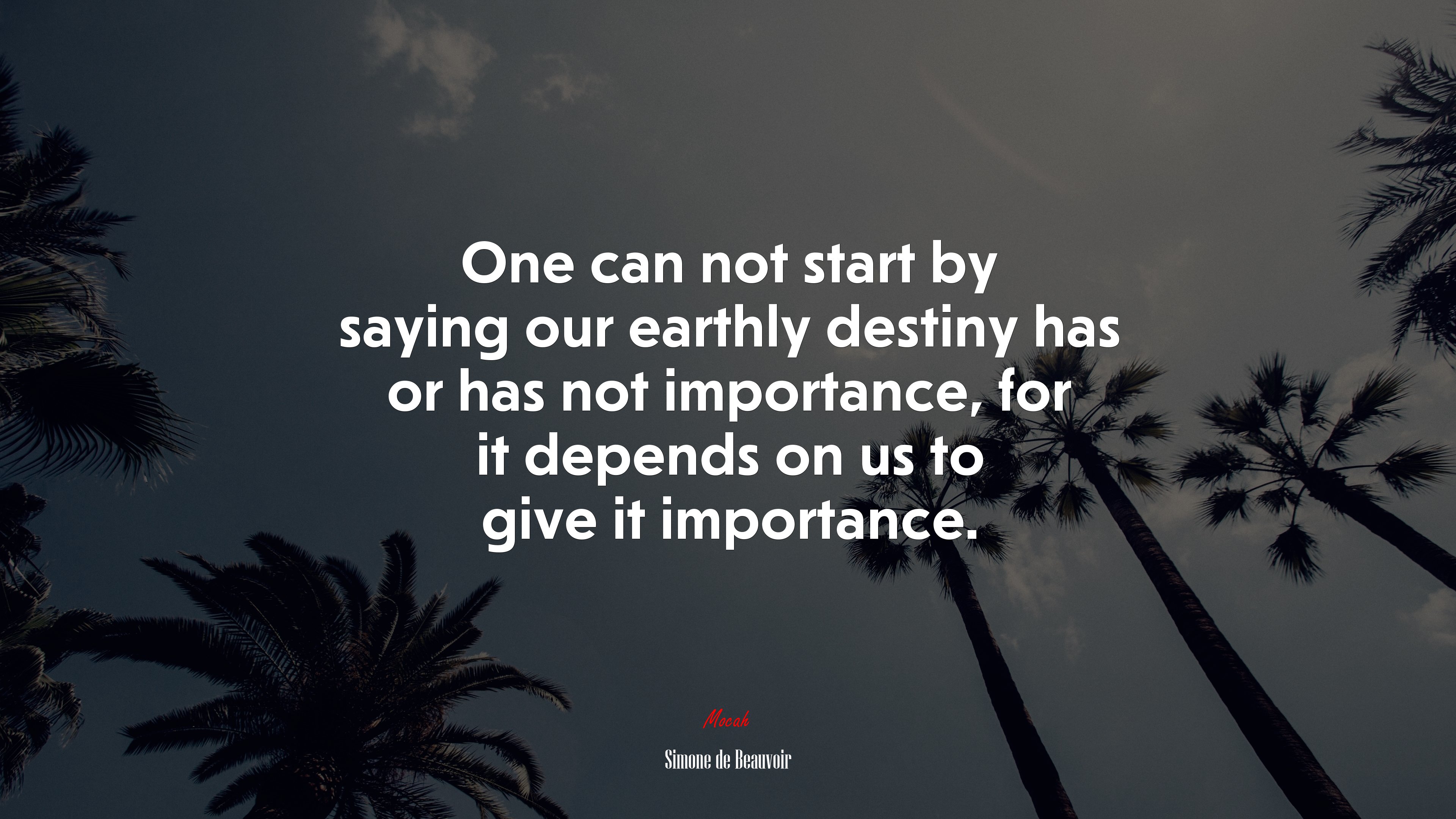 One can not start by saying our earthly destiny has or has not importance, for it depends on us to give it importance. | Simone de Beauvoir quote HD Wallpaper