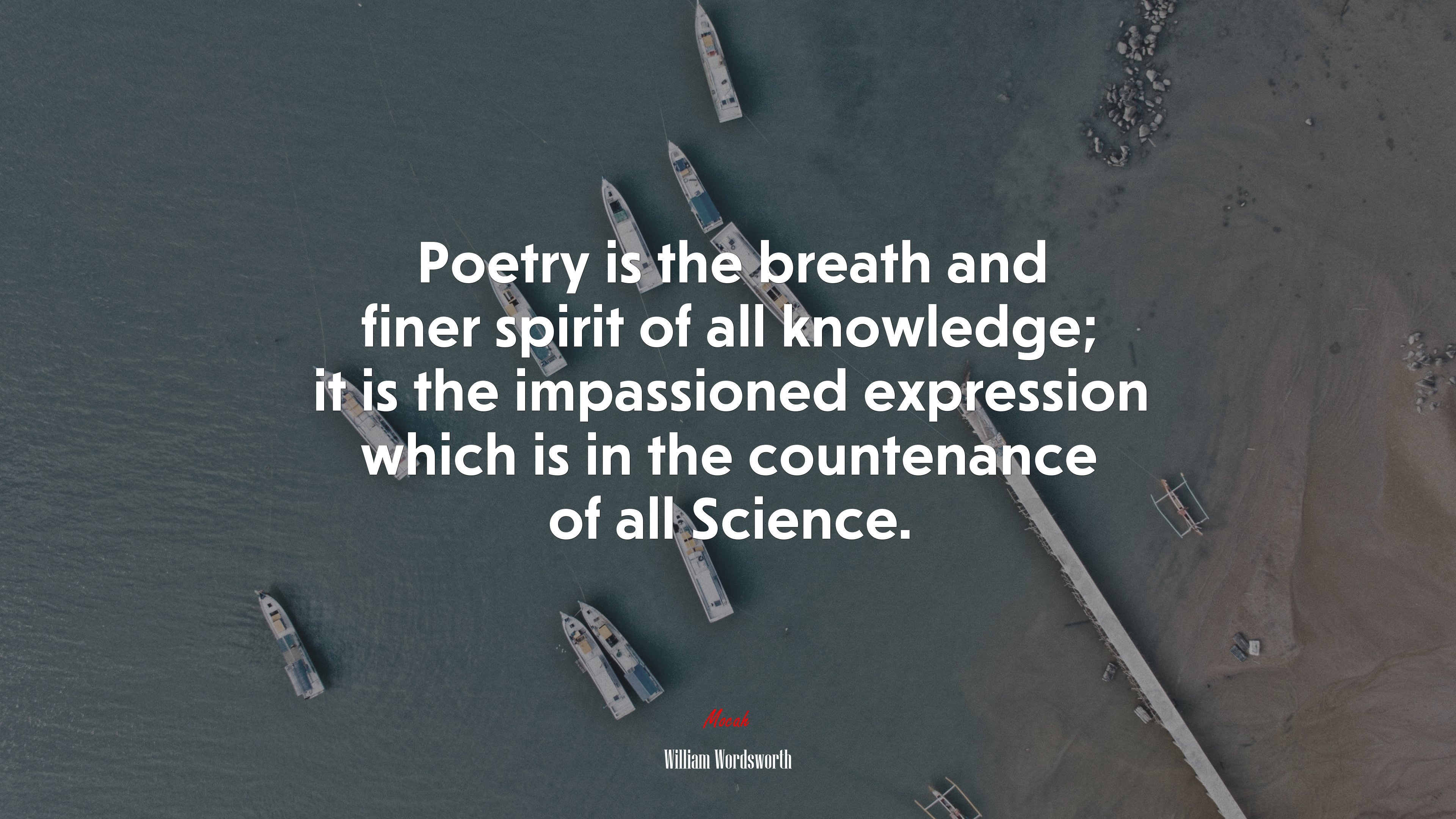 Poetry is the breath and finer spirit of all knowledge; it is the impassioned expression which is in the countenance of all Science. | William Wordsworth quote HD Wallpaper