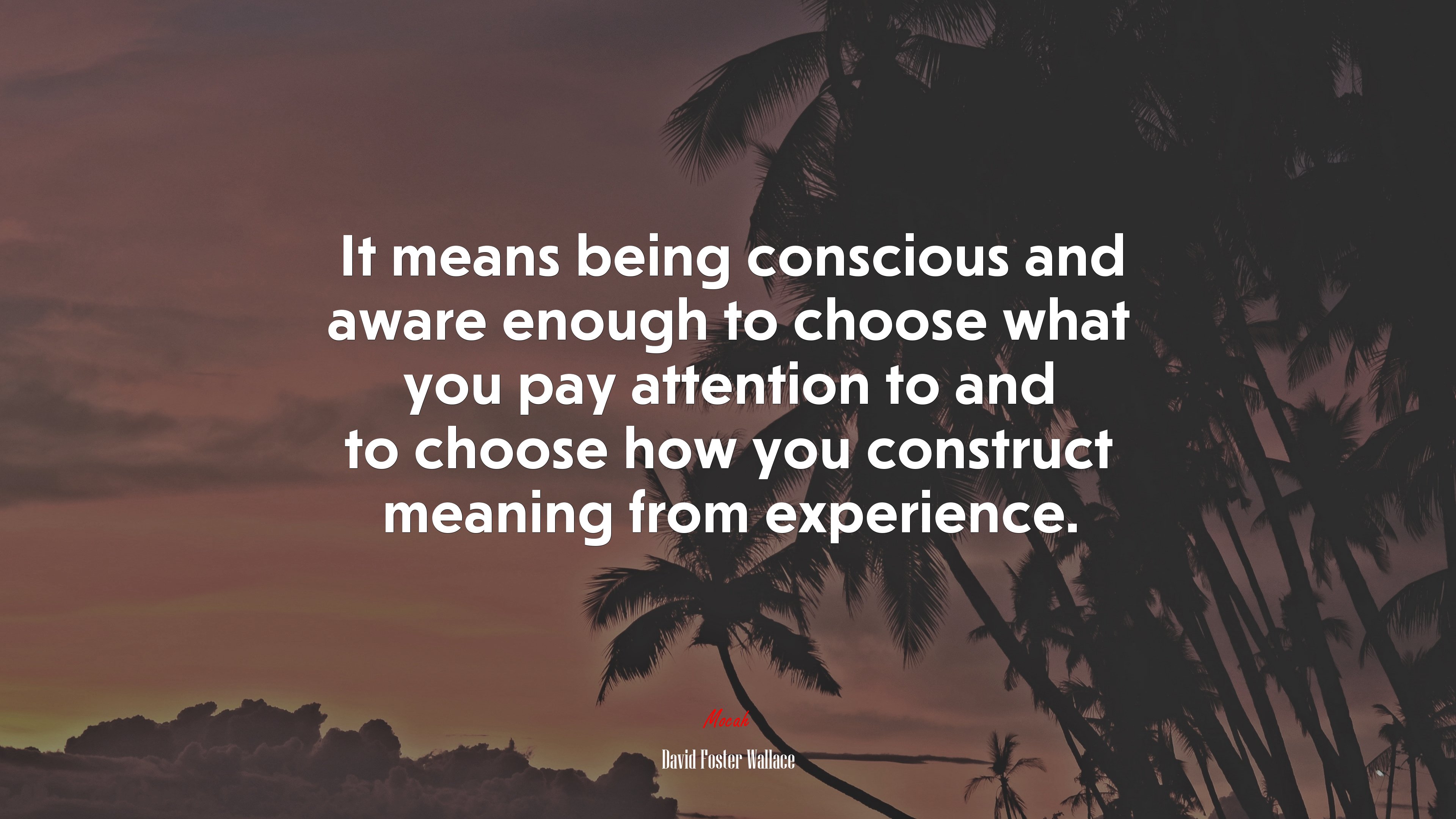 It means being conscious and aware enough to choose what you pay attention to and to choose how you construct meaning from experience. | David Foster Wallace quote HD Wallpaper