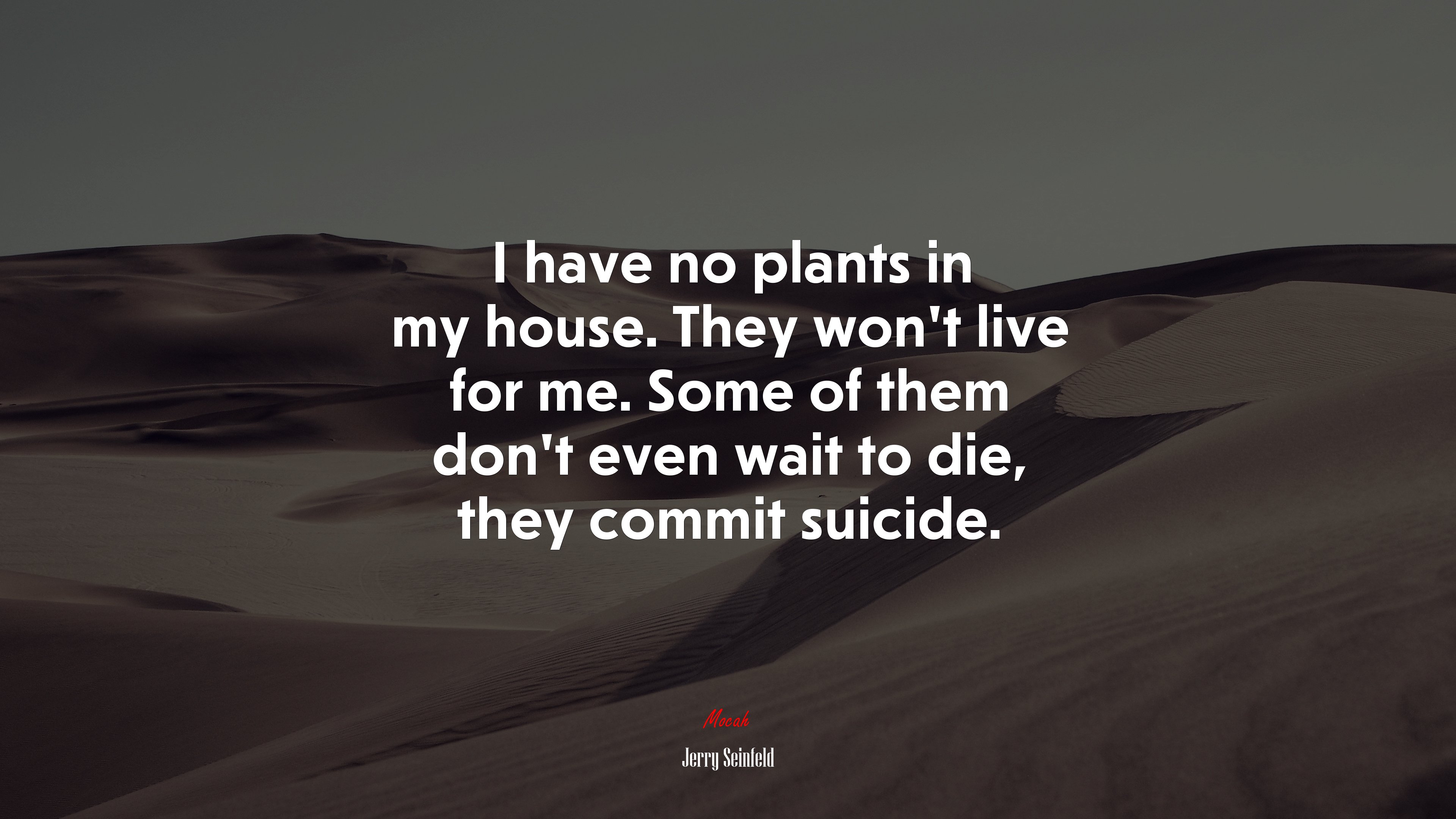 I have no plants in my house. They won’t live for me. Some of them don’t even wait to die, they commit suicide. | Jerry Seinfeld quote HD Wallpaper