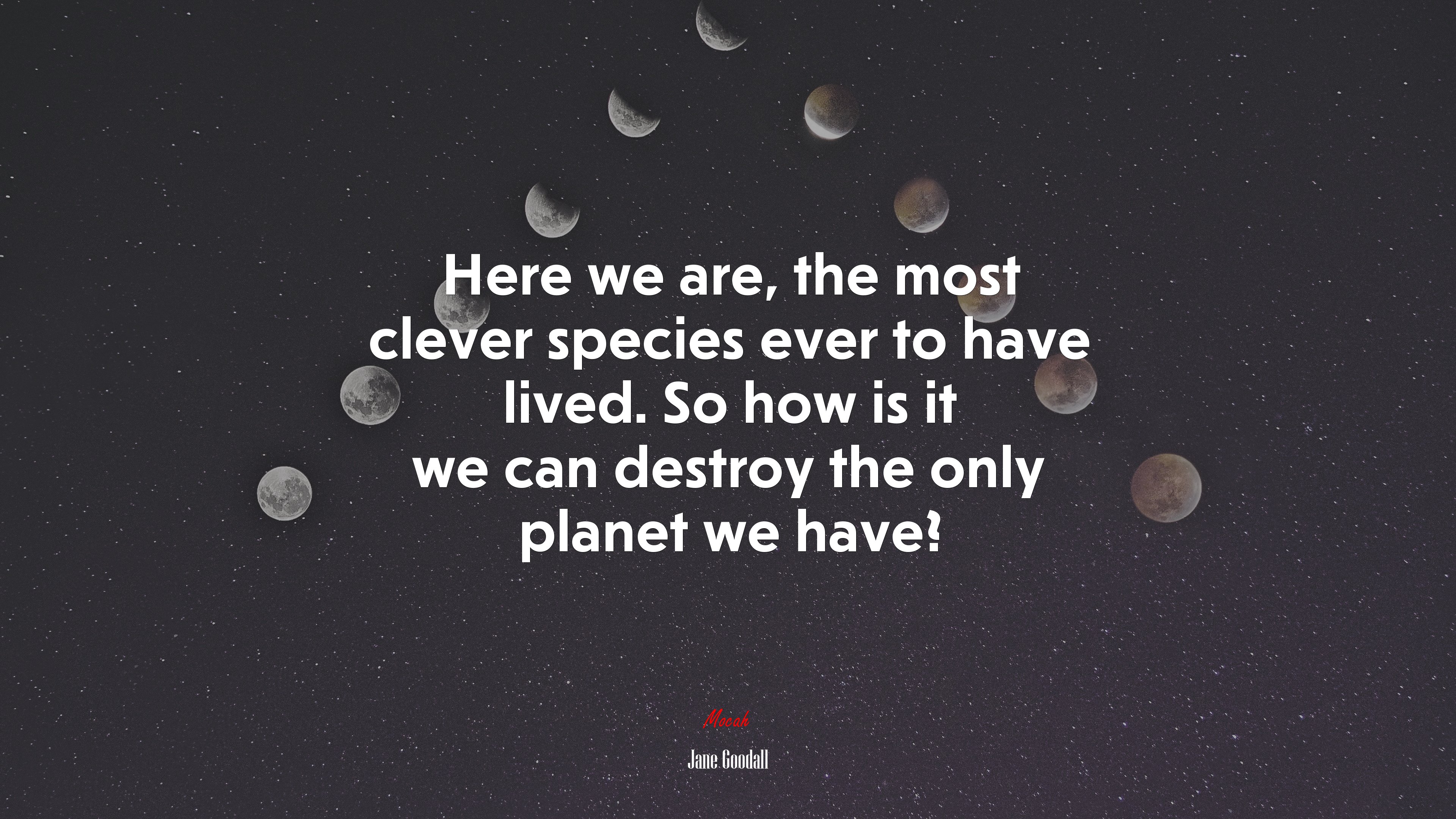 Here we are, the most clever species ever to have lived. So how is it we can destroy the only planet we have? | Jane Goodall quote HD Wallpaper