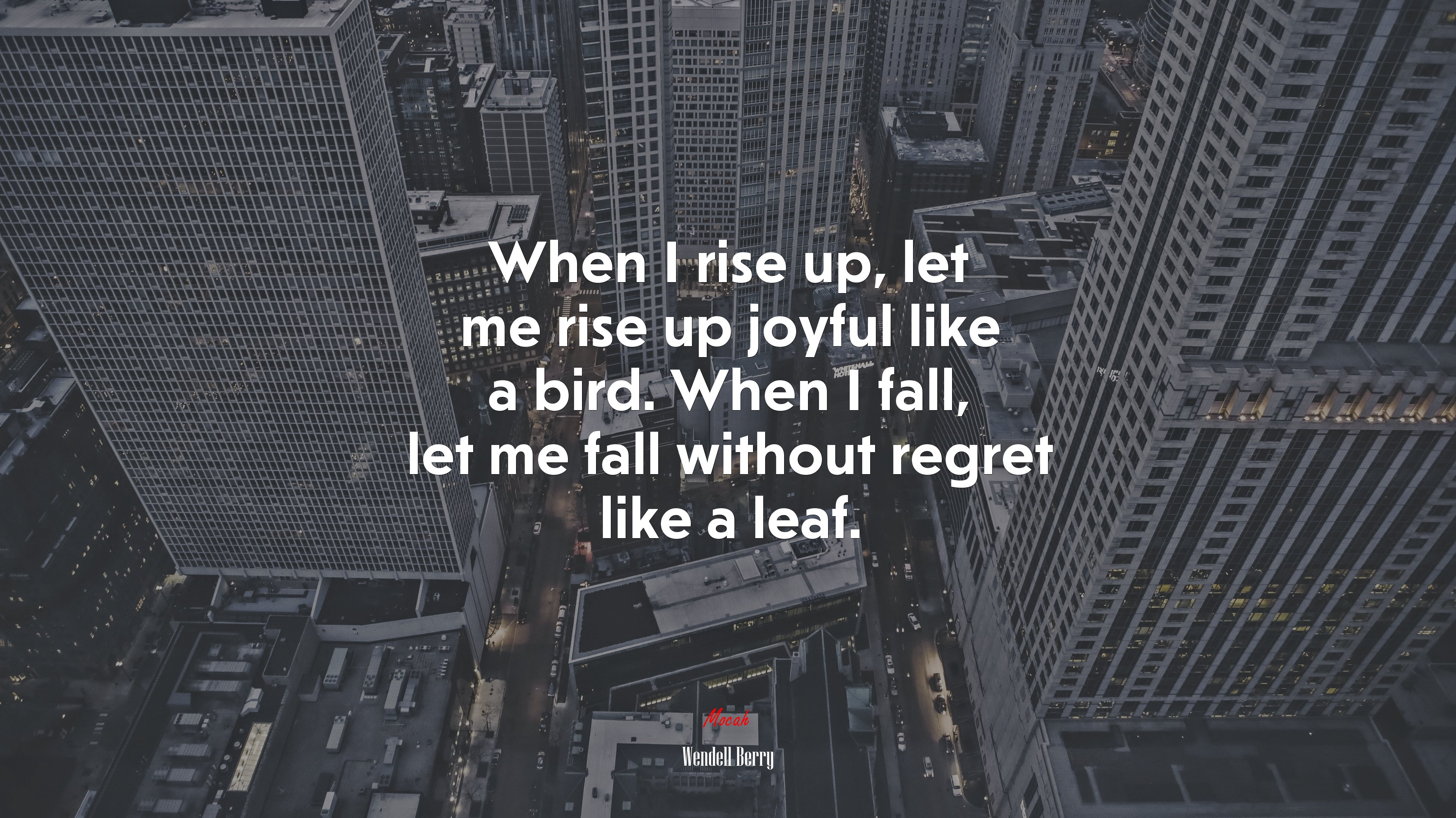When I rise up, let me rise up joyful like a bird. When I fall, let me fall without regret like a leaf. | Wendell Berry quote HD Wallpaper