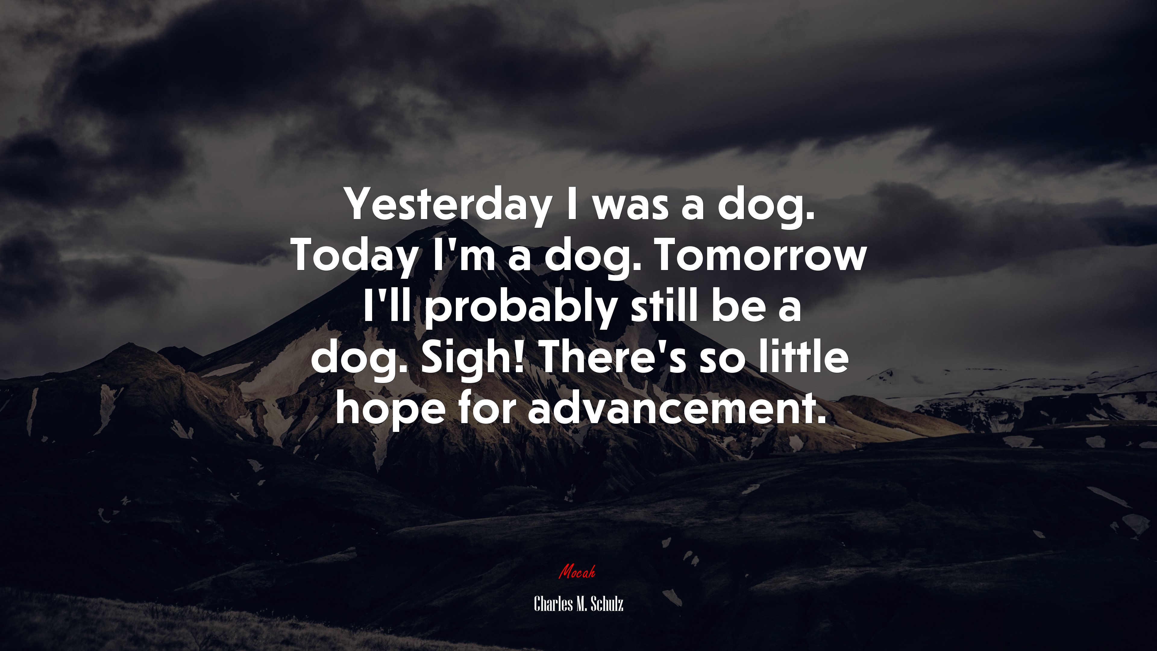 Yesterday I was a dog. Today I’m a dog. Tomorrow I’ll probably still be a dog. Sigh! There’s so little hope for advancement. | Charles M. Schulz quote HD Wallpaper