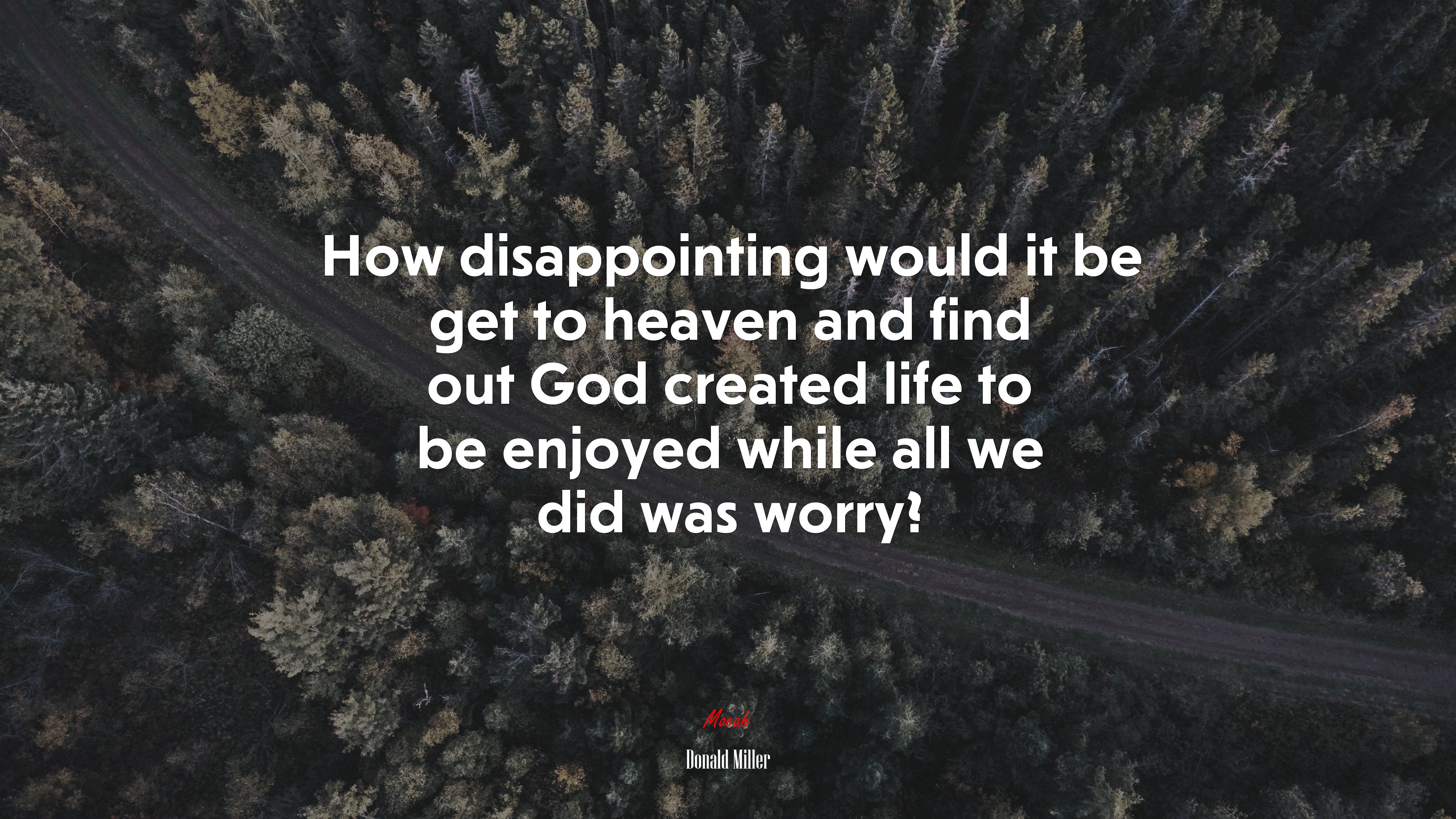 How disappointing would it be get to heaven and find out God created life to be enjoyed while all we did was worry? | Donald Miller quote HD Wallpaper