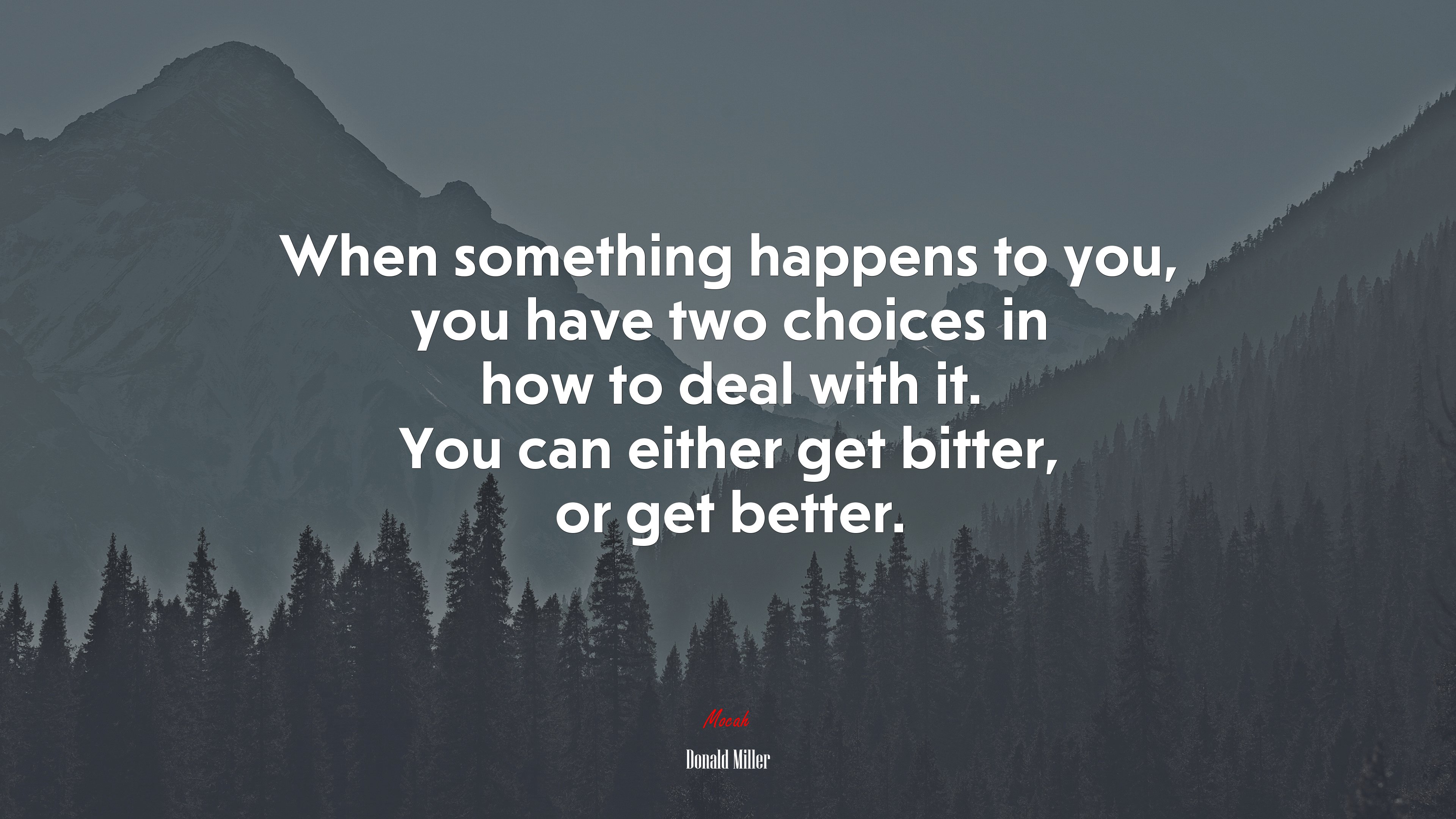When something happens to you, you have two choices in how to deal with it. You can either get bitter, or get better. | Donald Miller quote HD Wallpaper