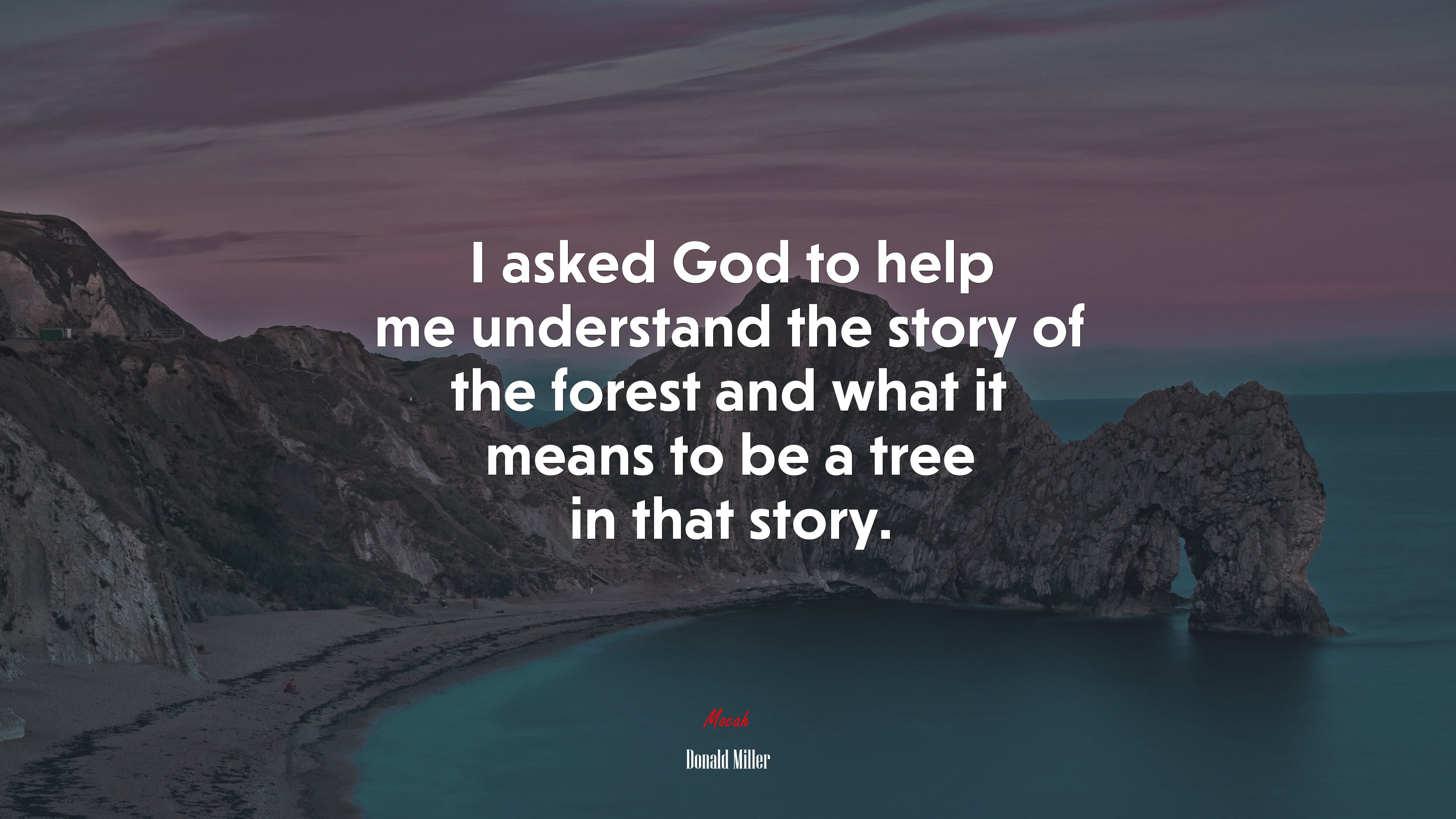 I asked God to help me understand the story of the forest and what it means to be a tree in that story. | Donald Miller quote HD Wallpaper