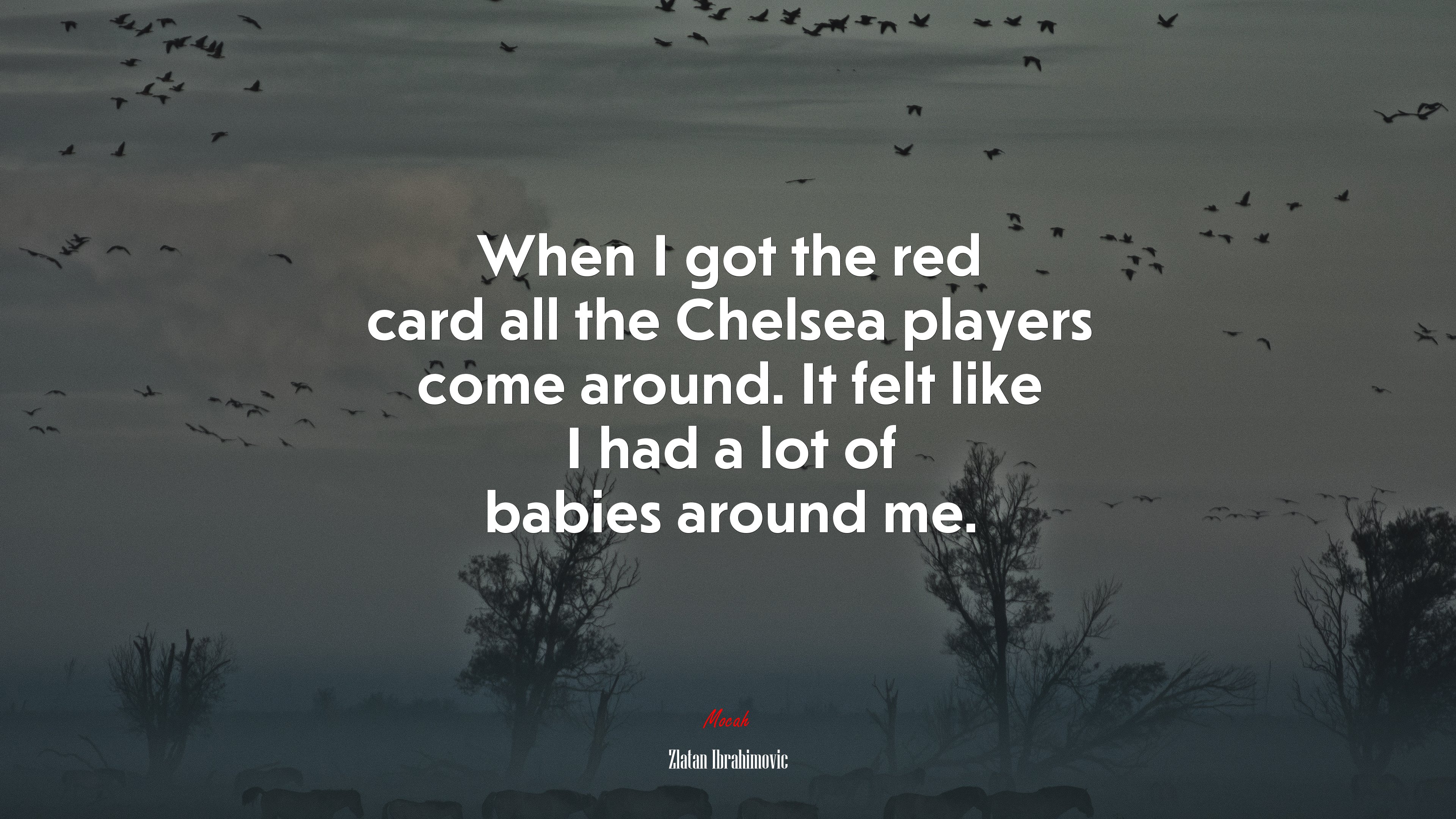 When I got the red card all the Chelsea players come around. It felt like I had a lot of babies around me. | Zlatan Ibrahimovic quote HD Wallpaper