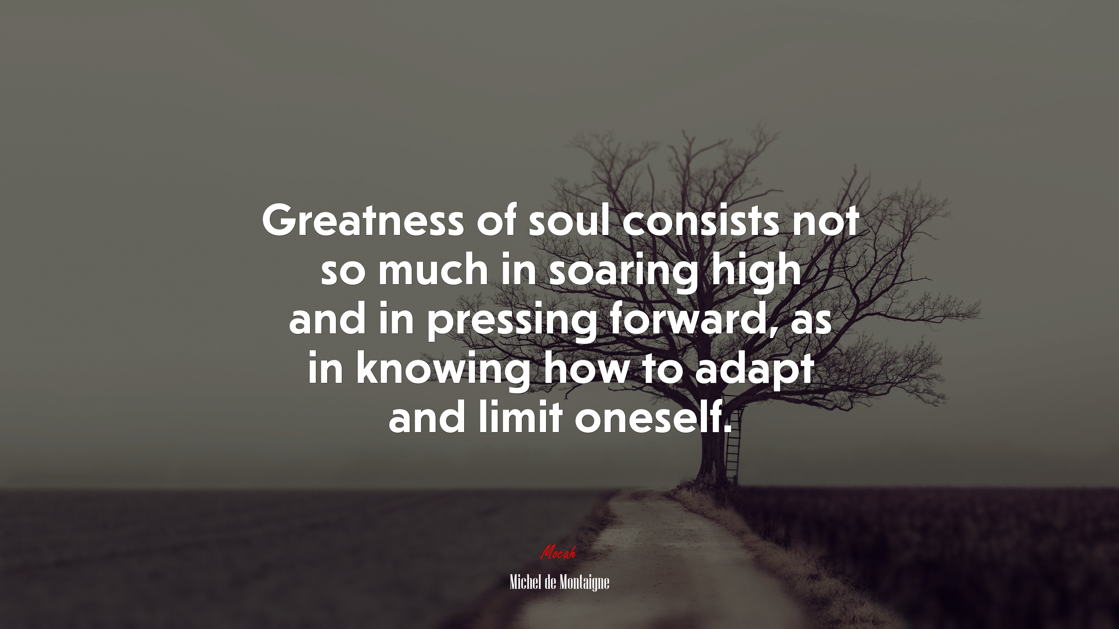 Greatness of soul consists not so much in soaring high and in pressing forward, as in knowing how to adapt and limit oneself. | Michel de Montaigne quote HD Wallpaper