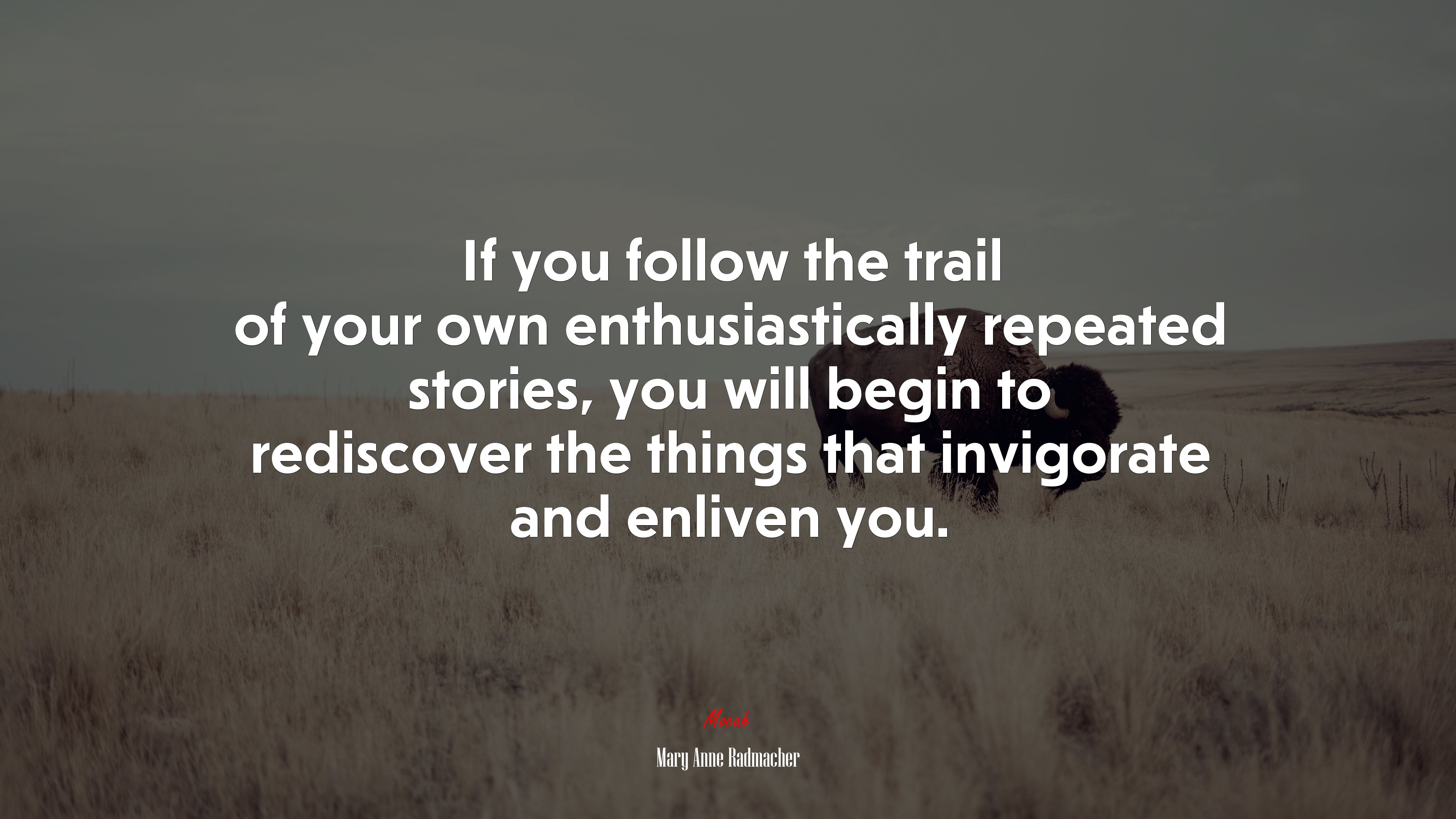 If you follow the trail of your own enthusiastically repeated stories, you will begin to rediscover the things that invigorate and enliven you. | Mary Anne Radmacher quote HD Wallpaper