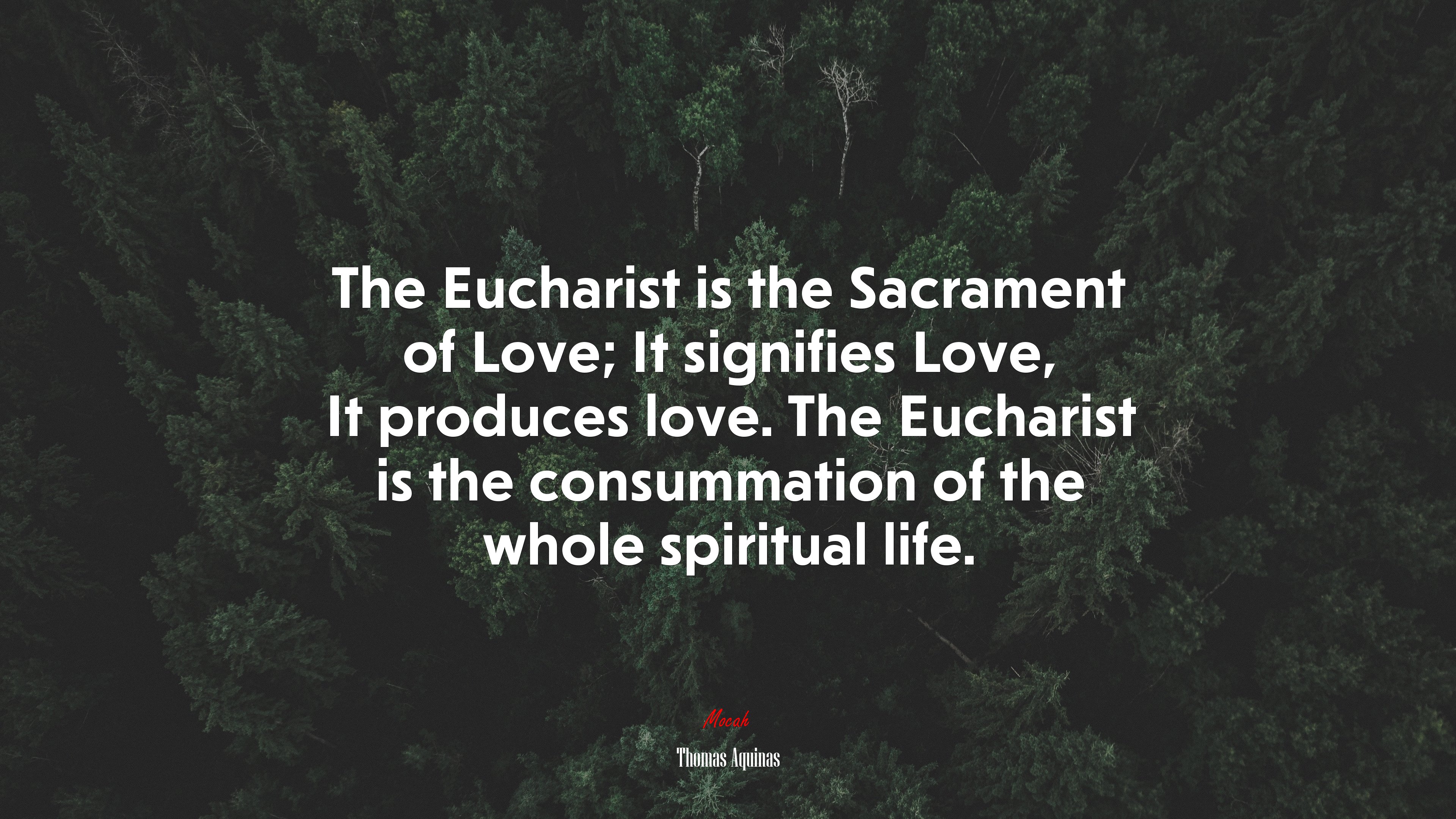 The Eucharist is the Sacrament of Love; It signifies Love, It produces love. The Eucharist is the consummation of the whole spiritual life. | Thomas Aquinas quote HD Wallpaper