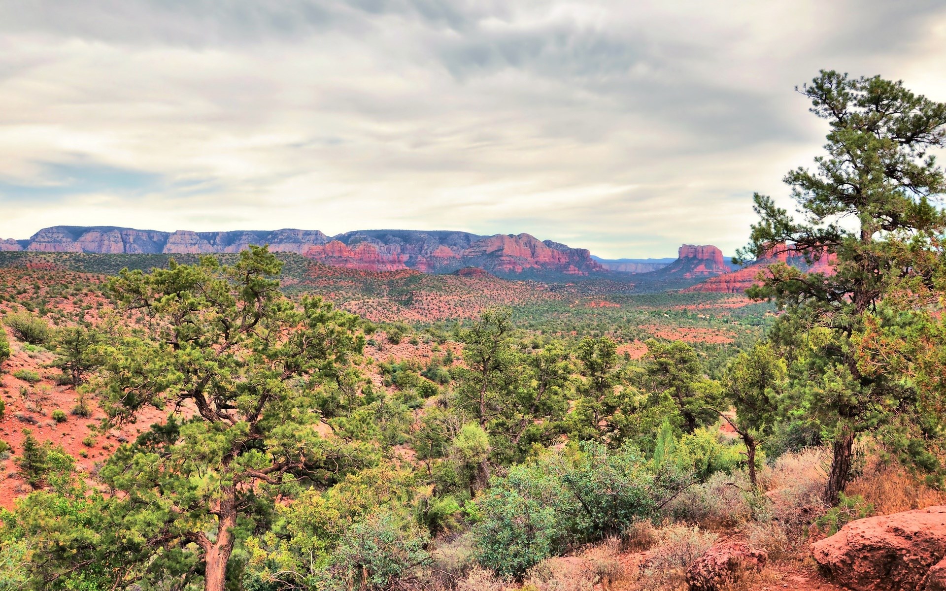 Red Rock Canyon Landscape with Trees and Mountains HD Wallpaper