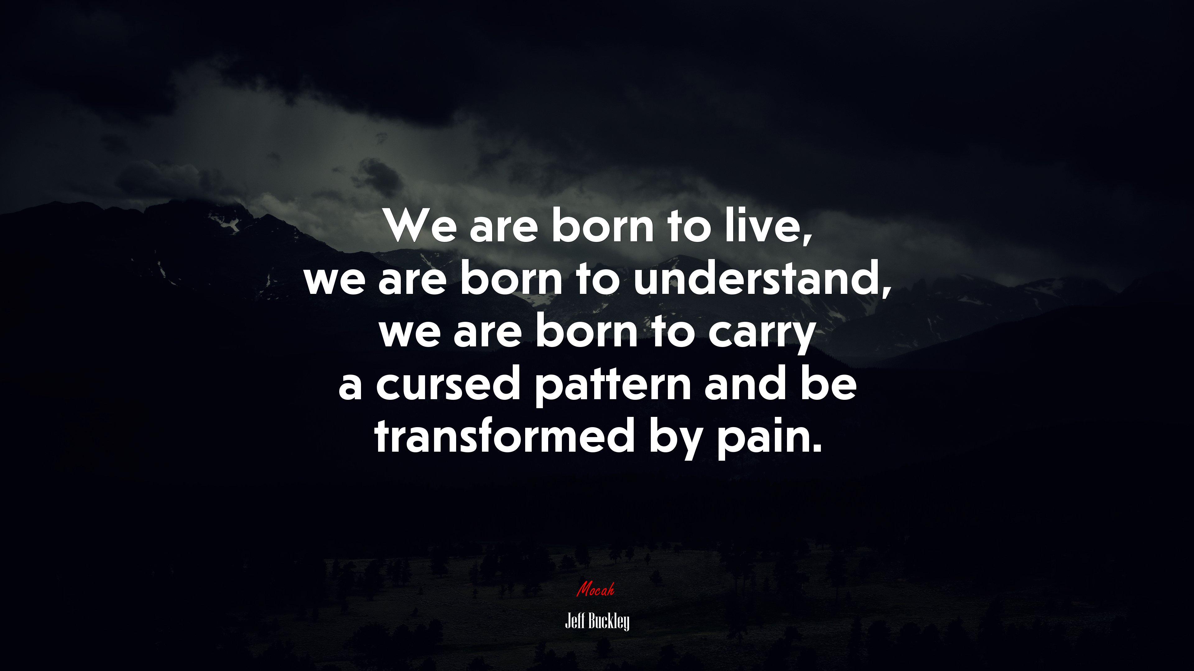 We are born to live, we are born to understand, we are born to carry a cursed pattern and be transformed by pain. | Jeff Buckley quote HD Wallpaper