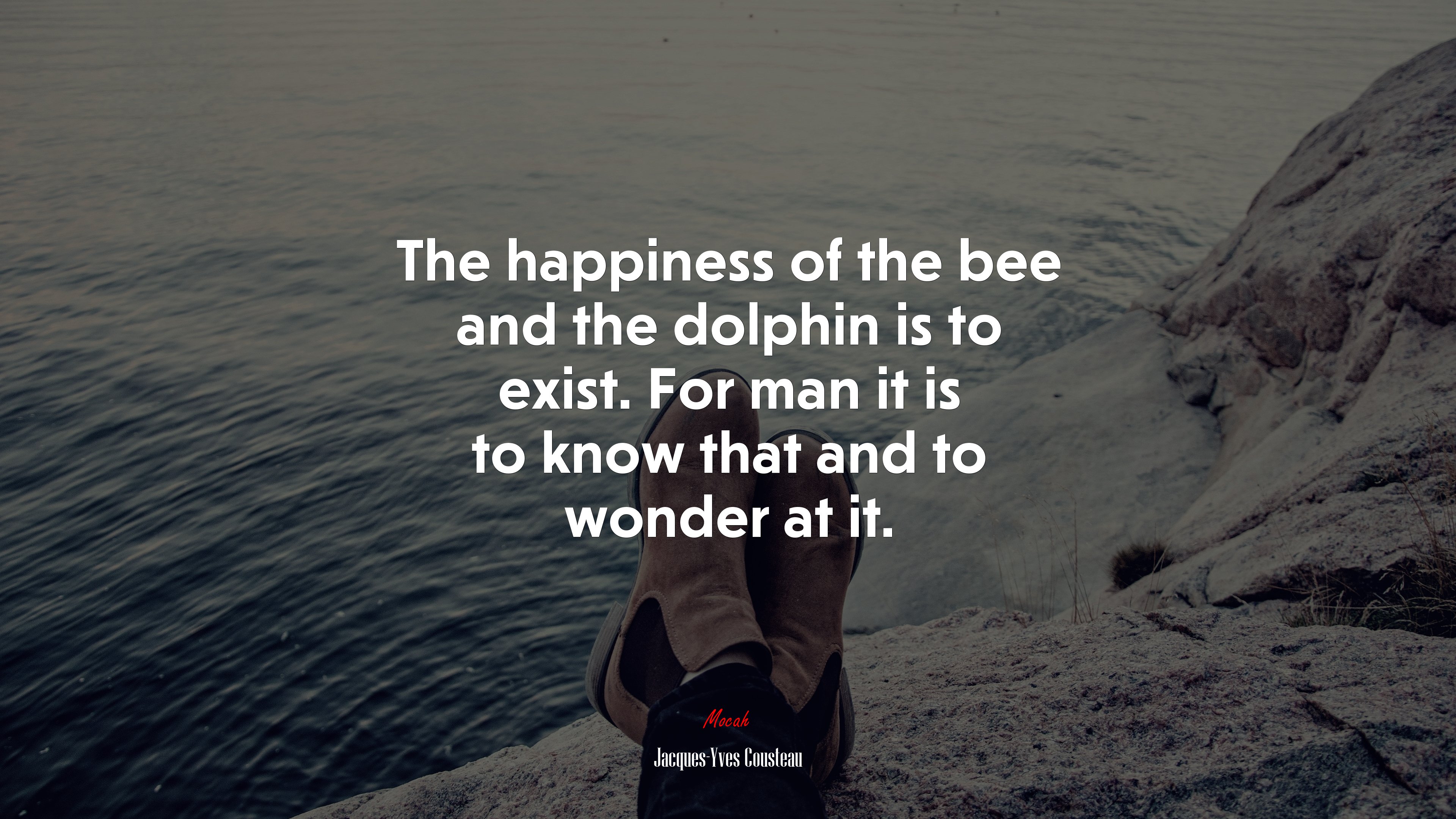The happiness of the bee and the dolphin is to exist. For man it is to know that and to wonder at it. | Jacques-Yves Cousteau quote HD Wallpaper