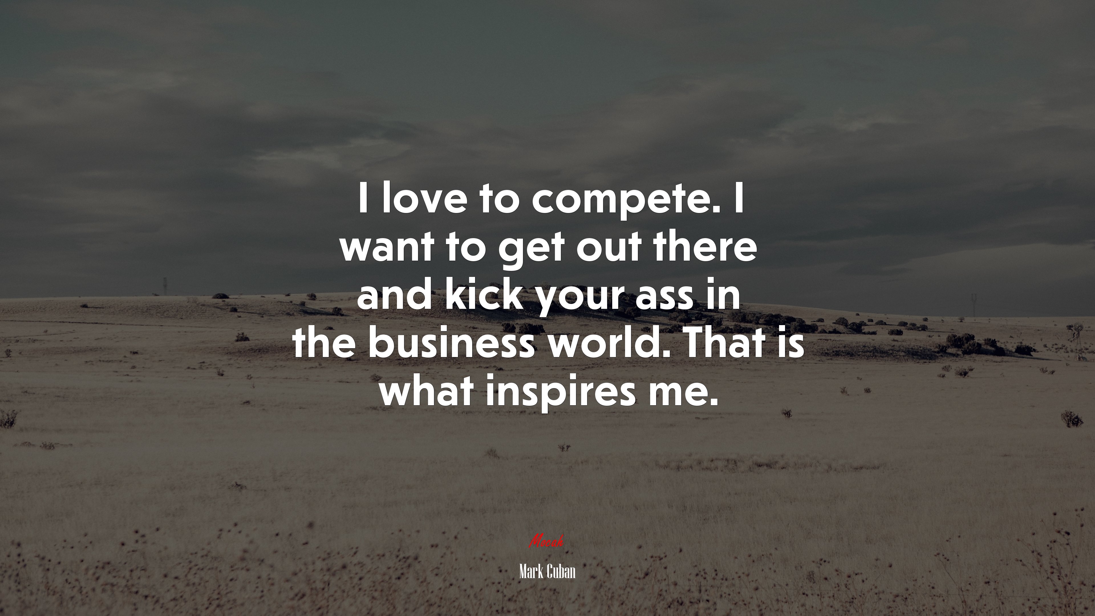 I love to compete. I want to get out there and kick your ass in the business world. That is what inspires me. | Mark Cuban quote HD Wallpaper